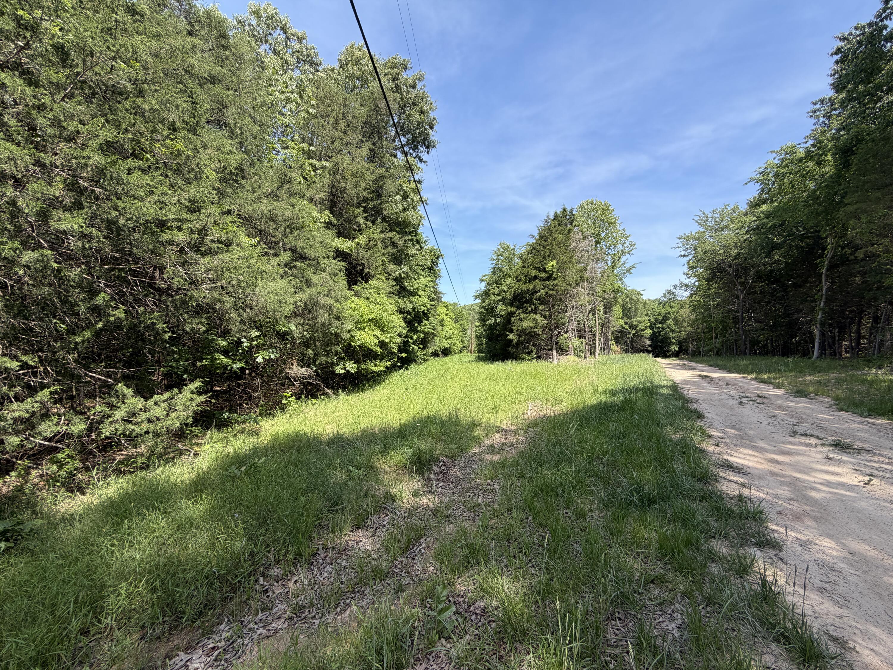 Photo 13 - Land for sale – 000  County Road 318   Tecumseh, MO