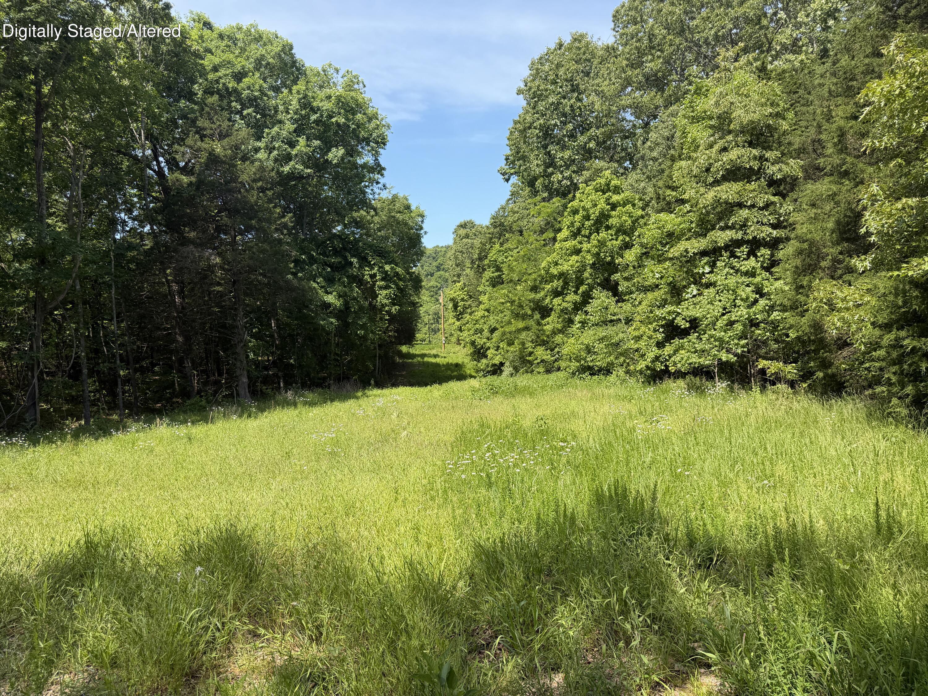 Photo 2 - Land for sale – 000  County Road 318   Tecumseh, MO