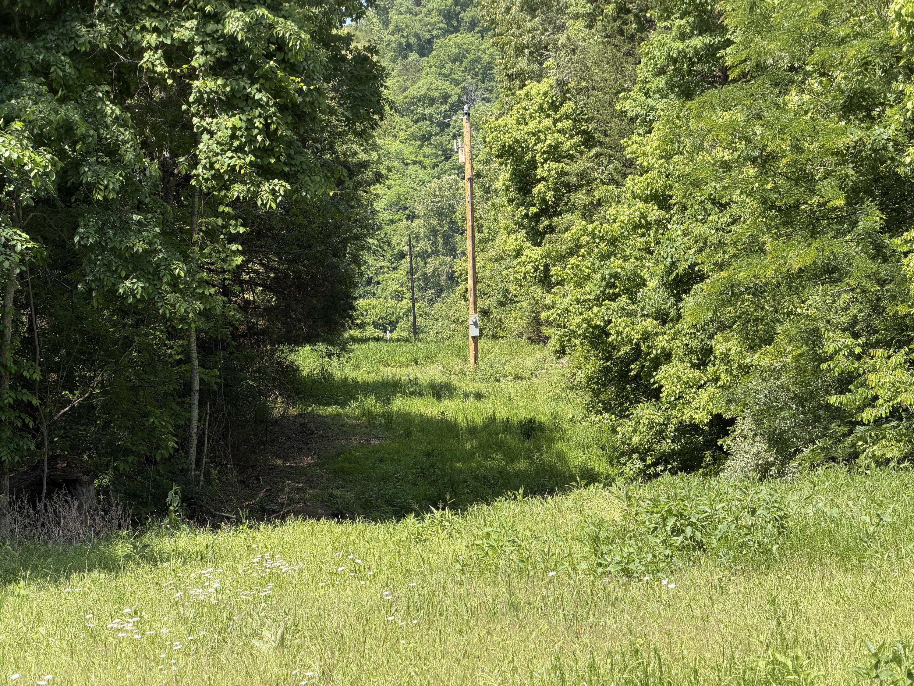 Photo 16 - Land for sale – 000  County Road 318   Tecumseh, MO