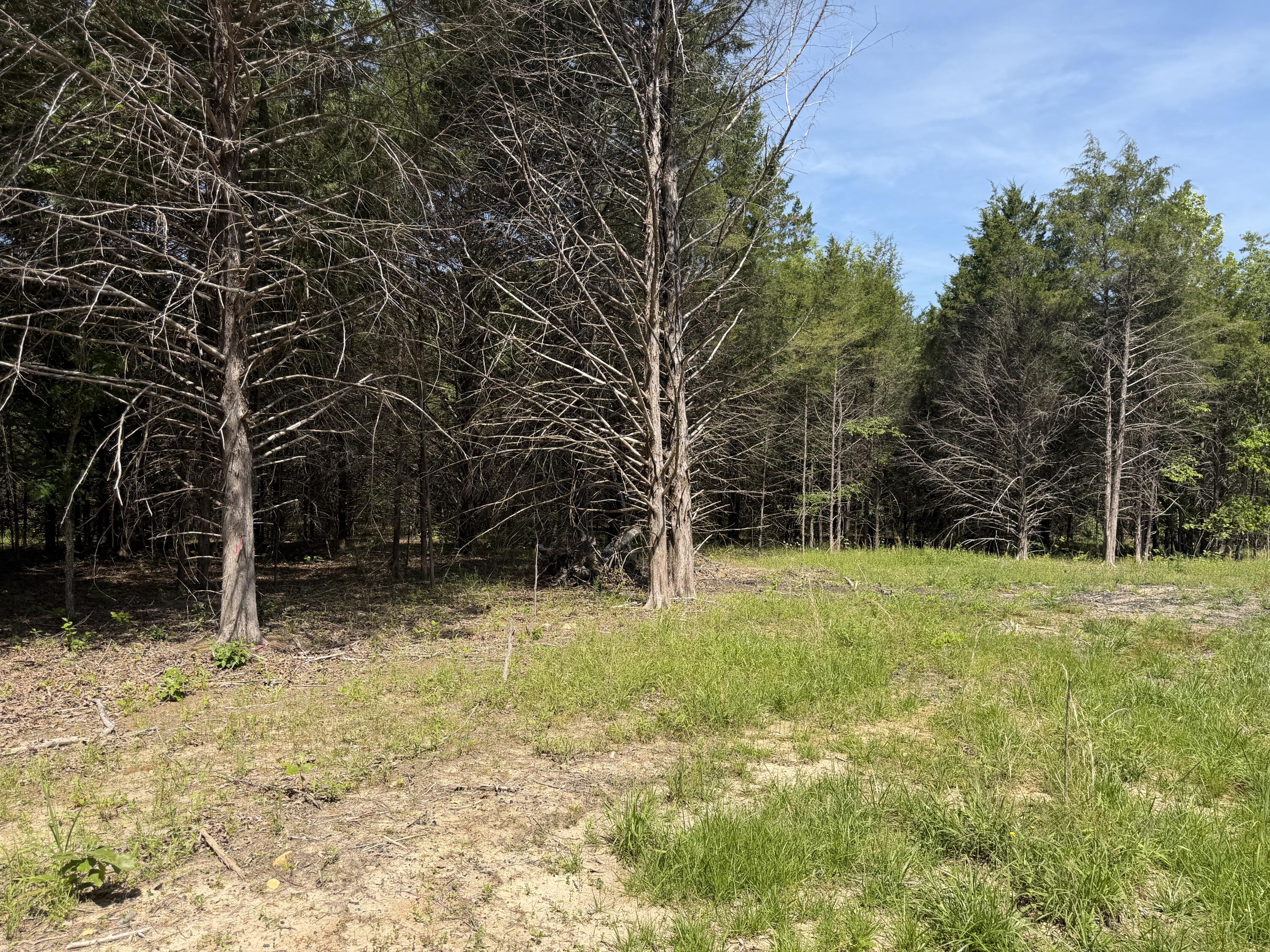 Photo 23 - Land for sale – 000  County Road 318   Tecumseh, MO
