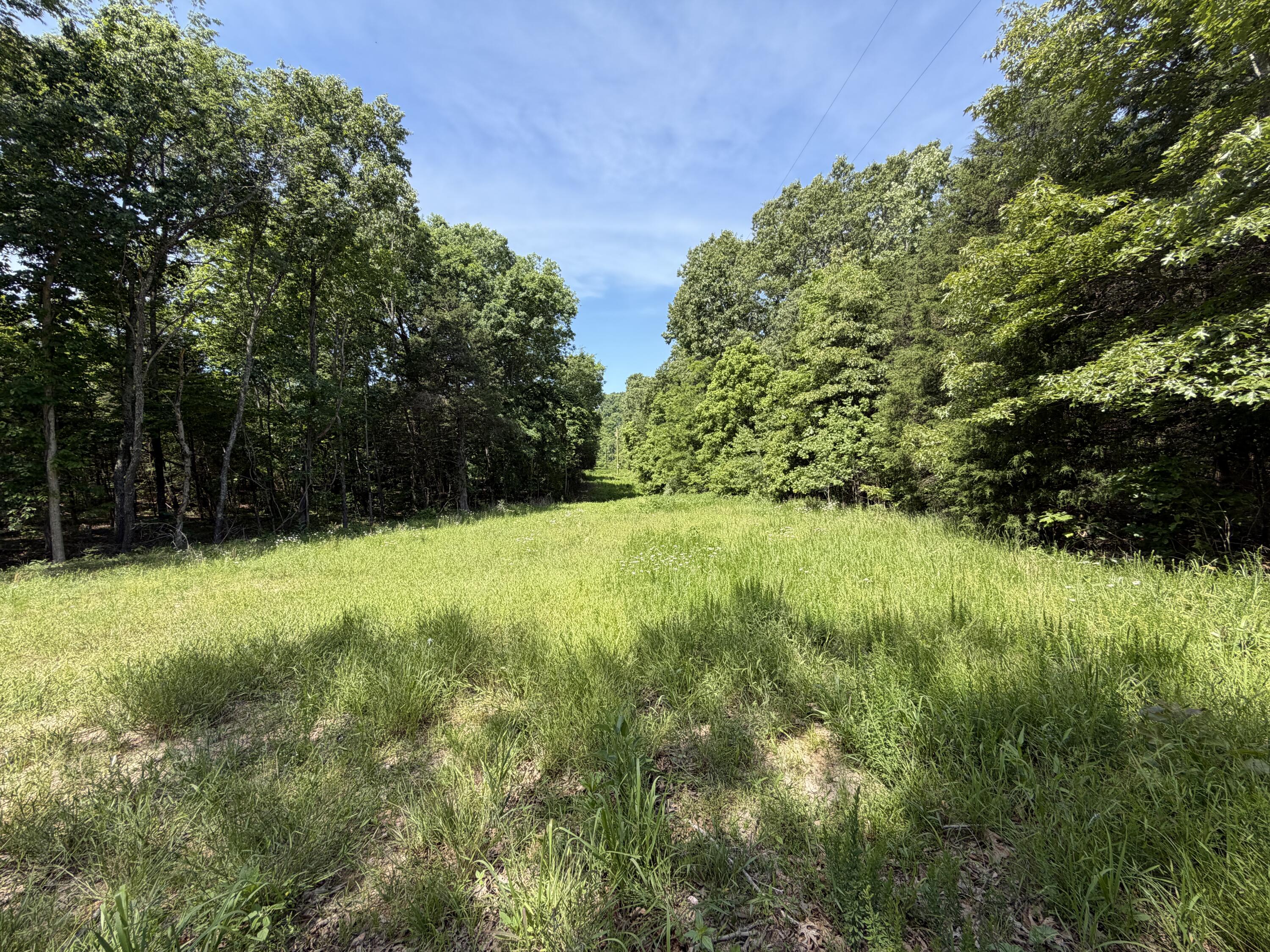 Photo 32 - Land for sale – 000  County Road 318   Tecumseh, MO