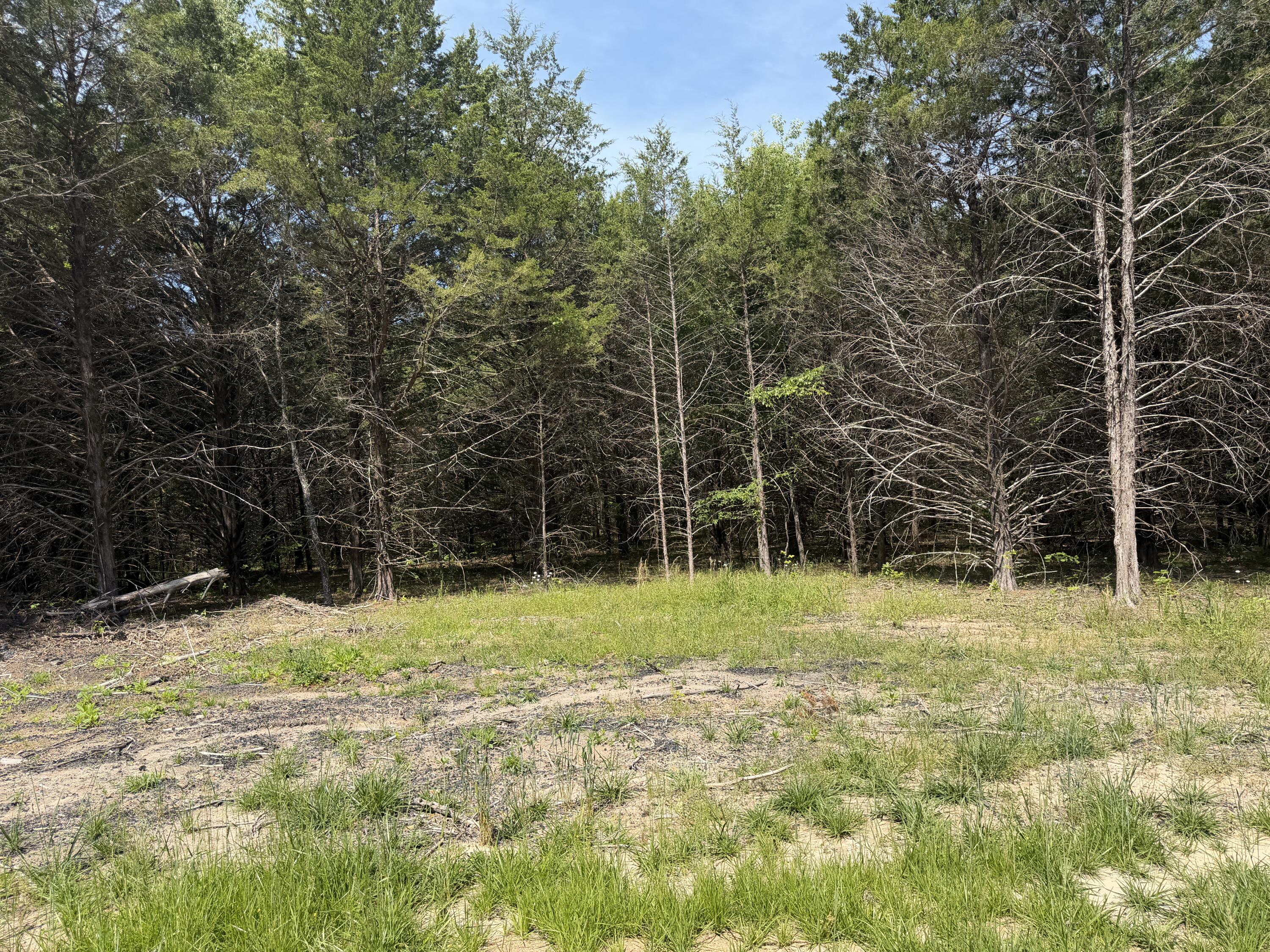 Photo 27 - Land for sale – 000  County Road 318   Tecumseh, MO