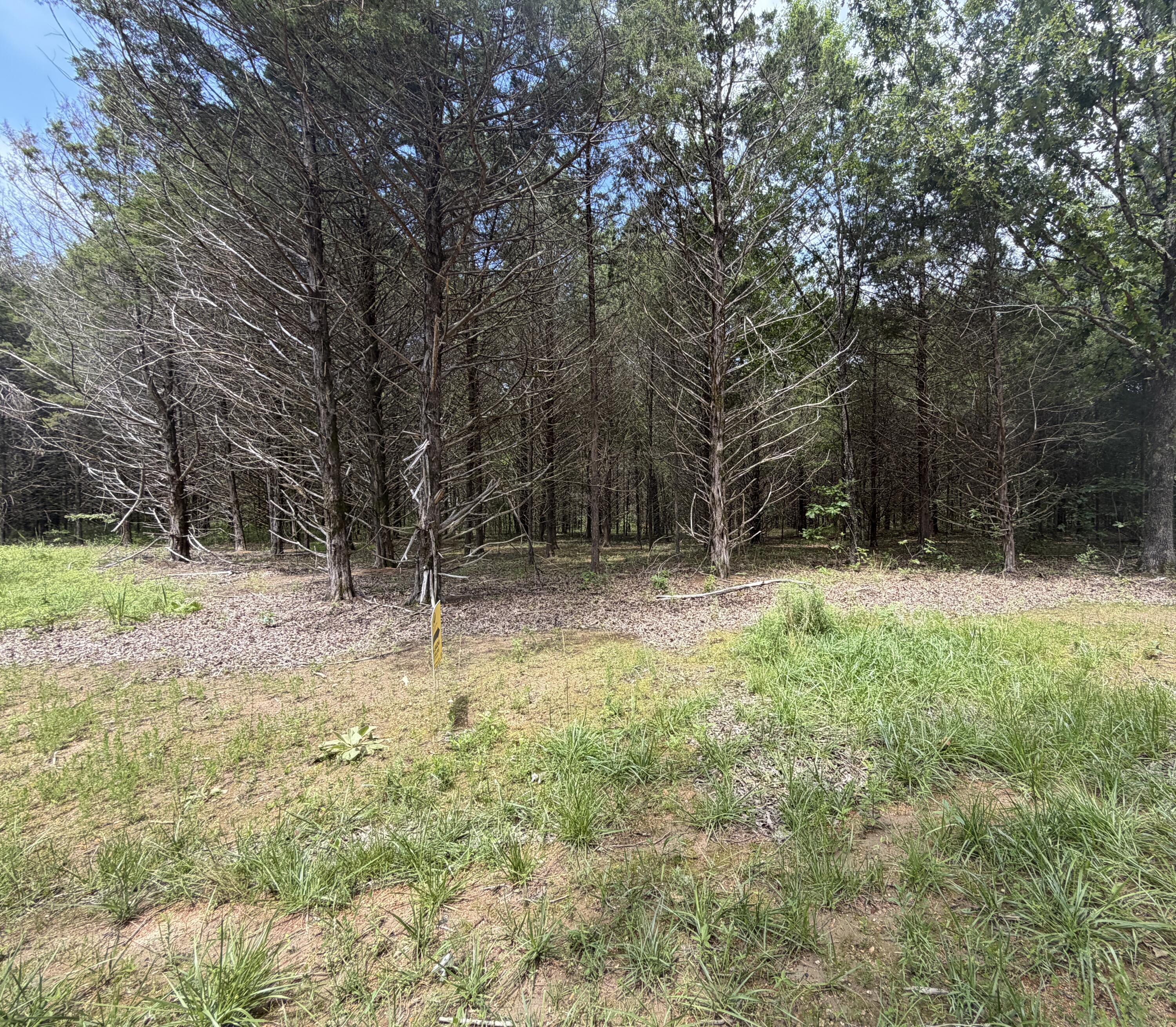 Photo 18 - Land for sale – 000  County Road 318   Sycamore, MO