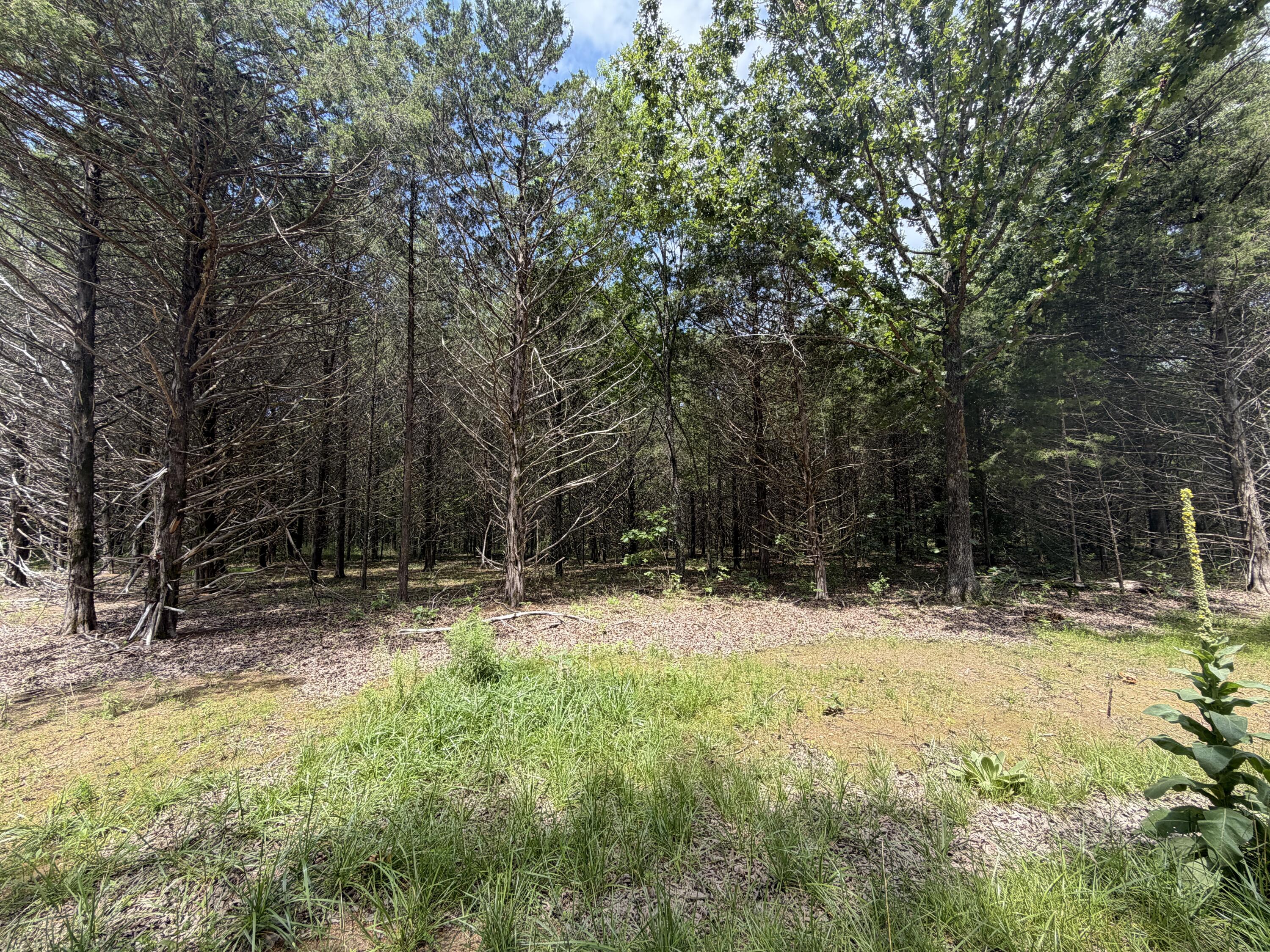 Land for sale – 000  County Road 318   Sycamore, MO