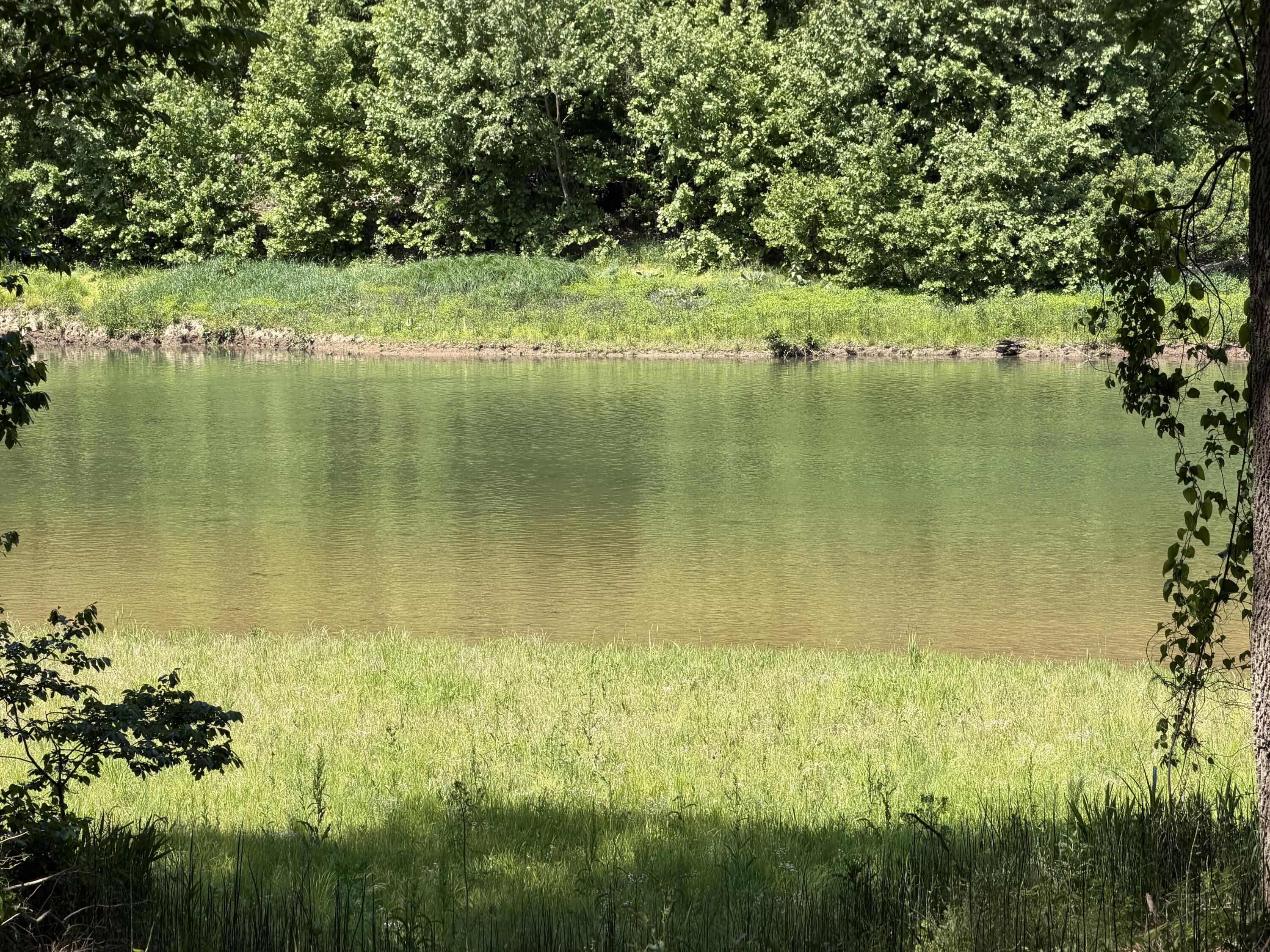 Photo 6 - Land for sale – 000  County Road 318   Tecumseh, MO