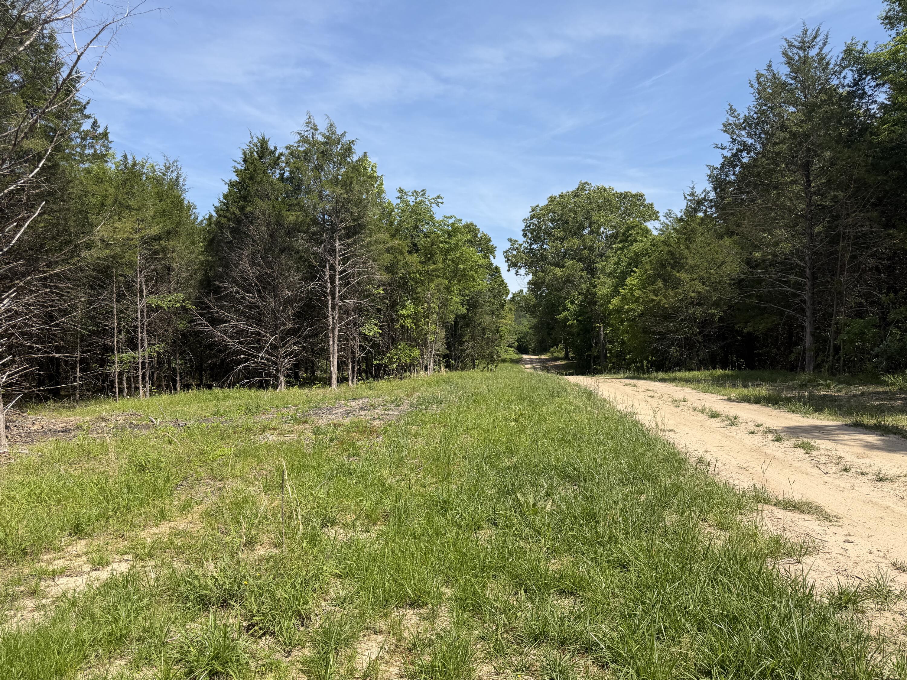 Photo 17 - Land for sale – 000  County Road 318   Tecumseh, MO