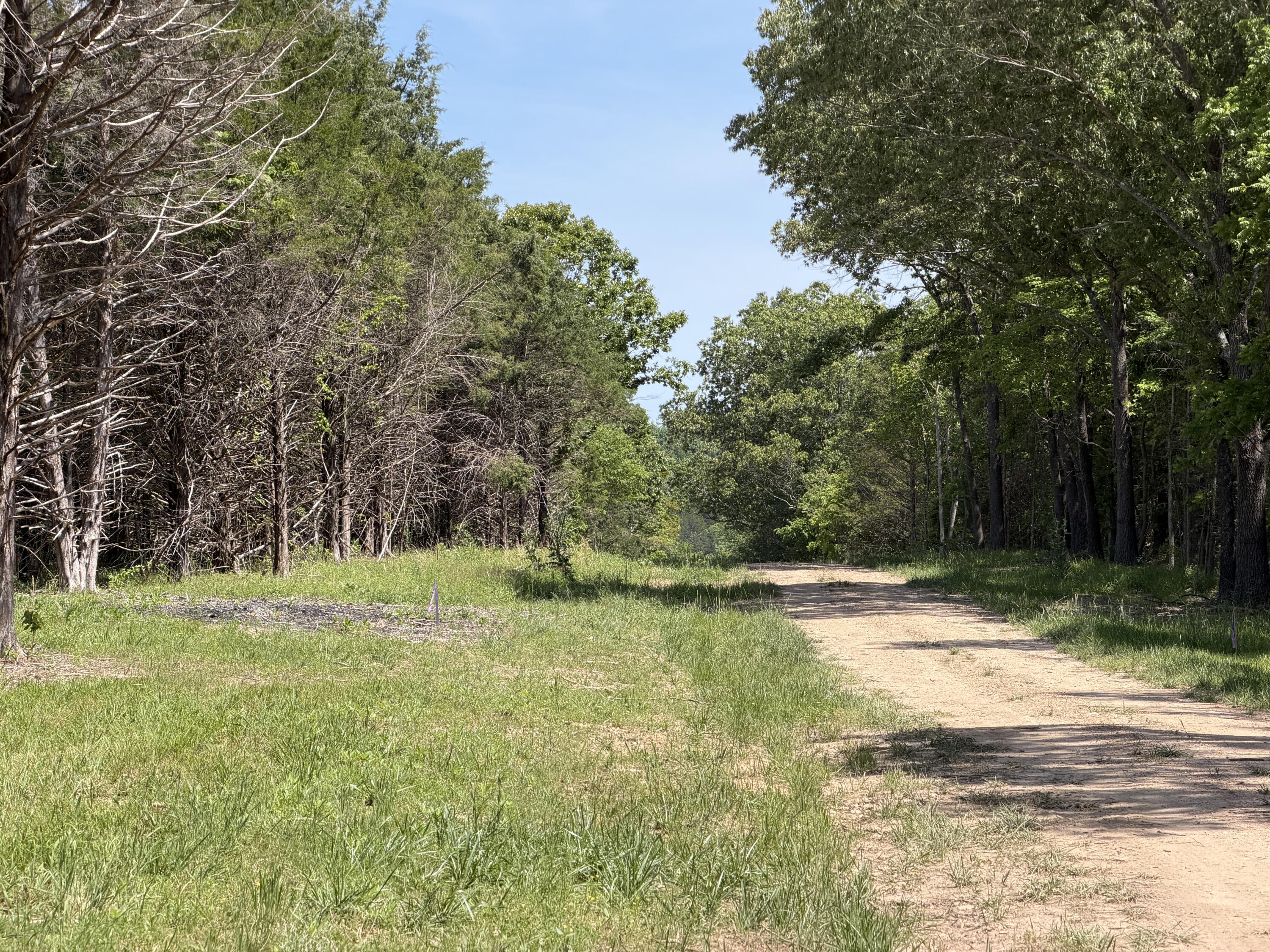 Photo 23 - Land for sale – 000  County Road 318   Tecumseh, MO