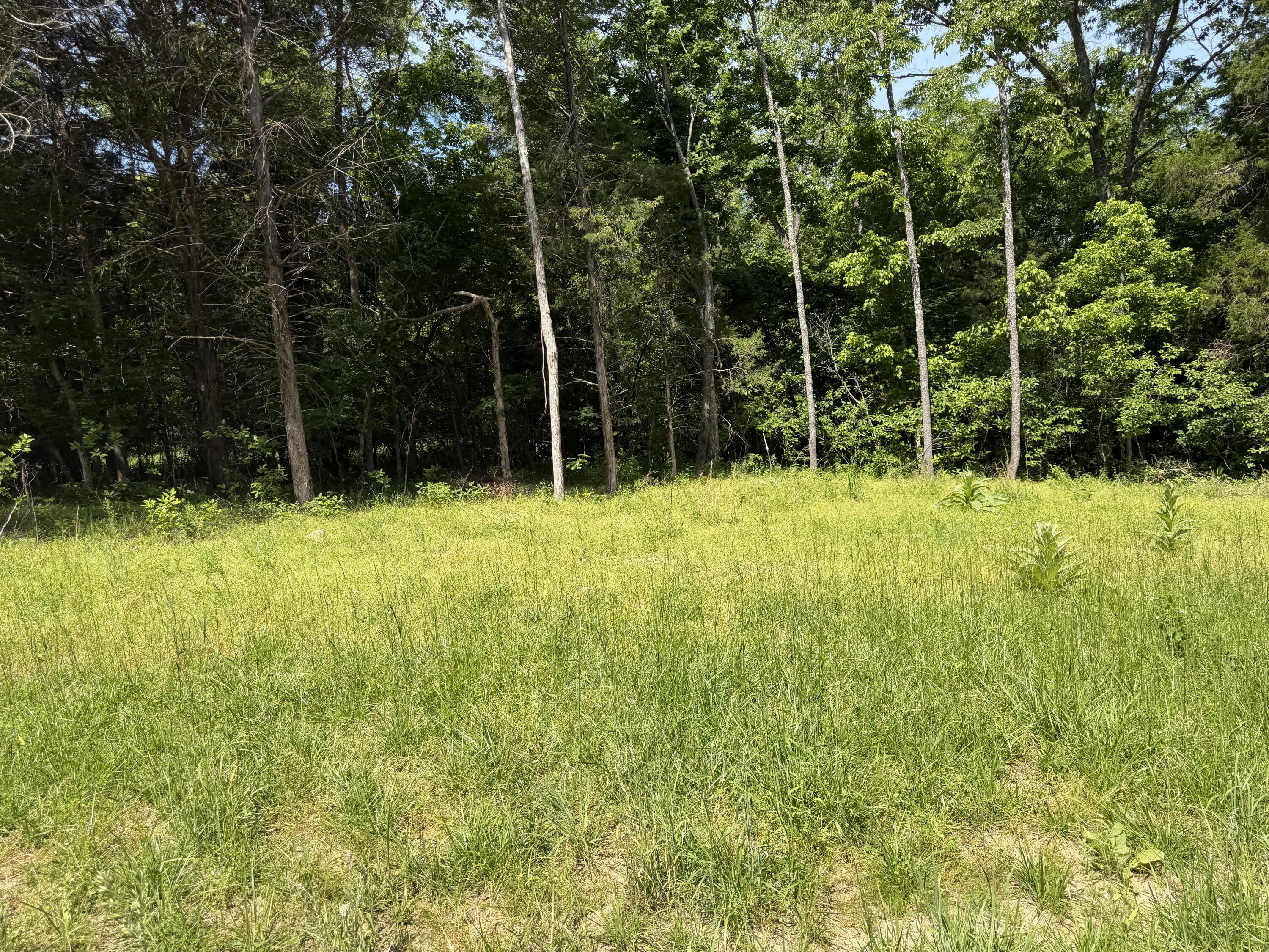 Land for sale – 000  County Road 318   Tecumseh, MO