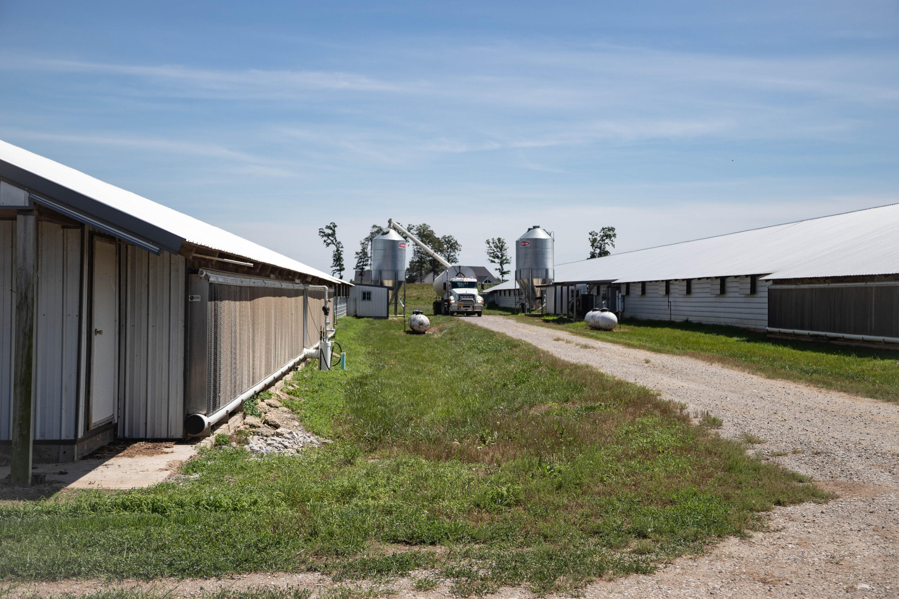 Photo 153 - Farm for sale – 6719  Ripley Route A   Doniphan, MO
