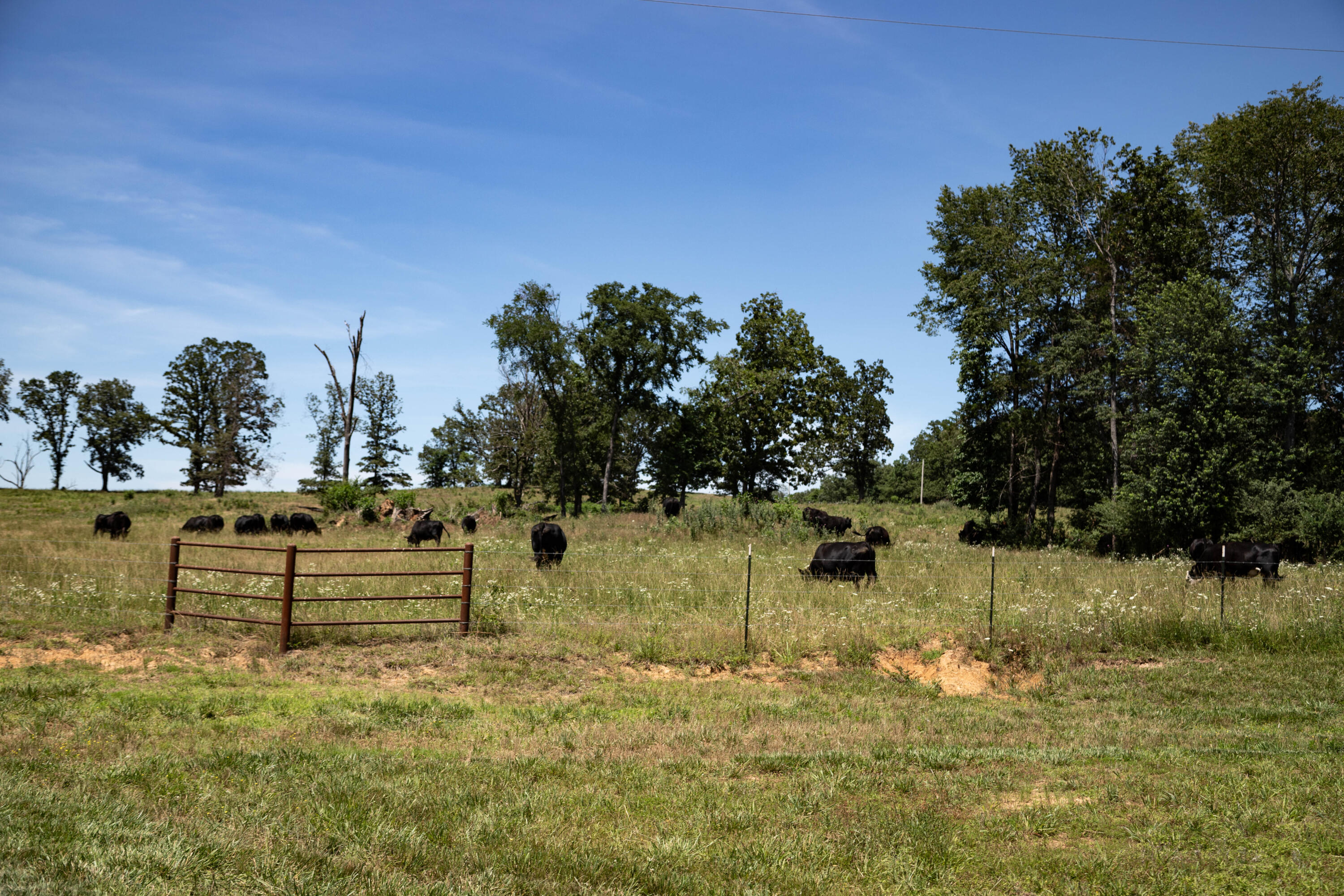 Photo 128 - Farm for sale – 6719  Ripley Route A   Doniphan, MO