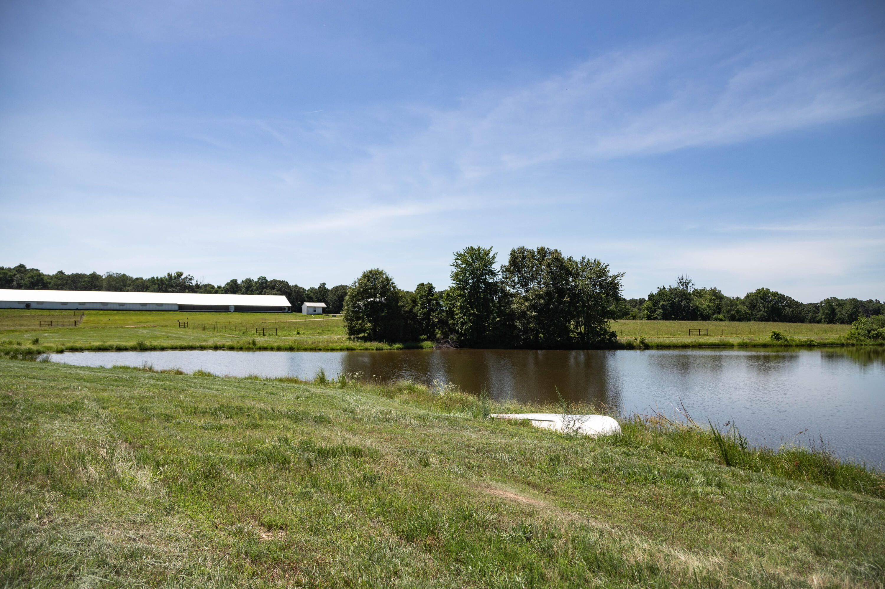 Photo 157 - Farm for sale – 6719  Ripley Route A   Doniphan, MO