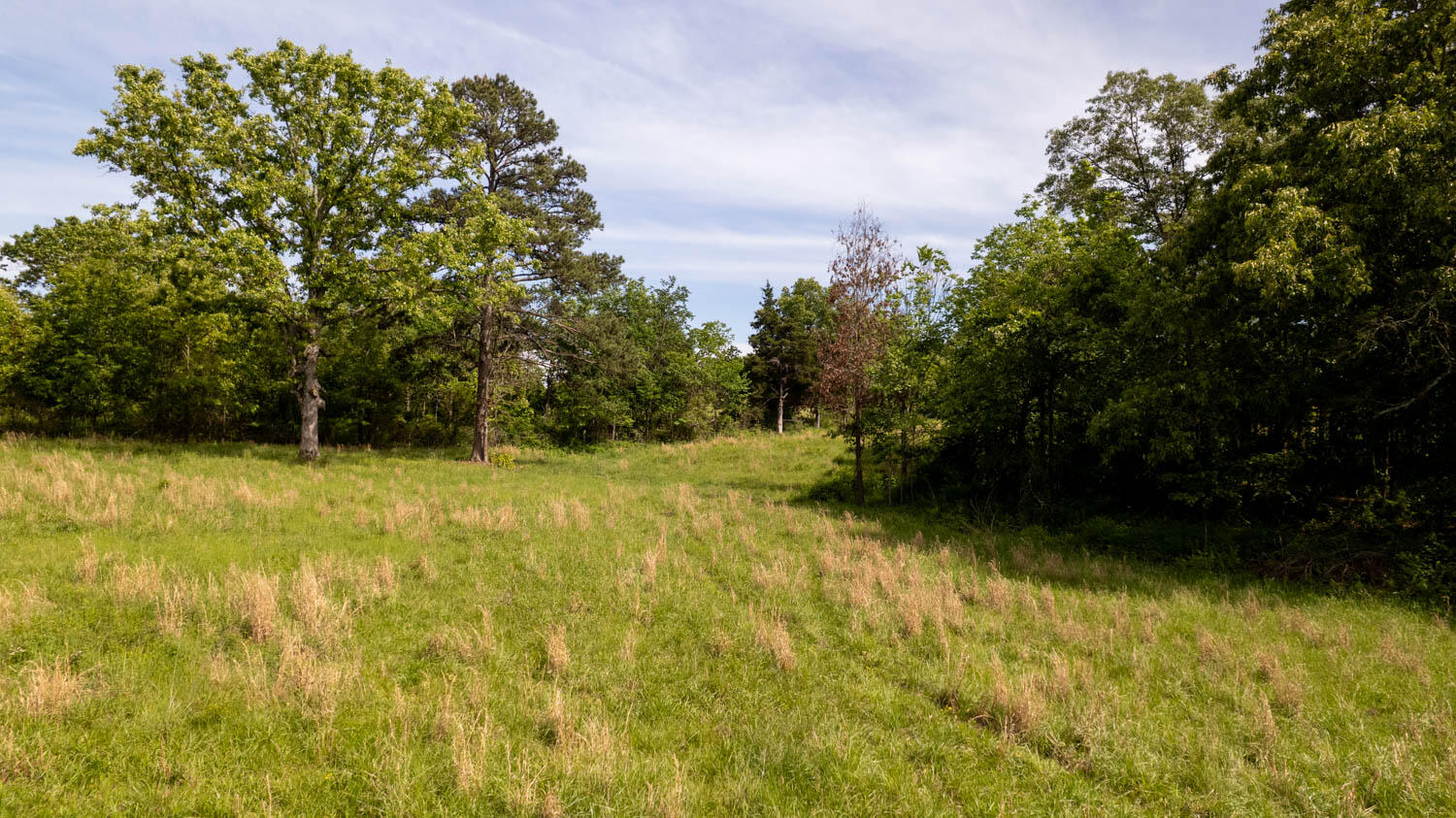 Photo 52 - Residential for sale – 1250  County Road 405   Alton, MO