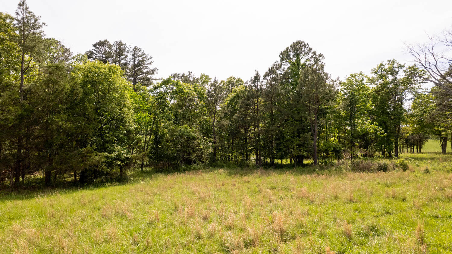 Photo 53 - Residential for sale – 1250  County Road 405   Alton, MO