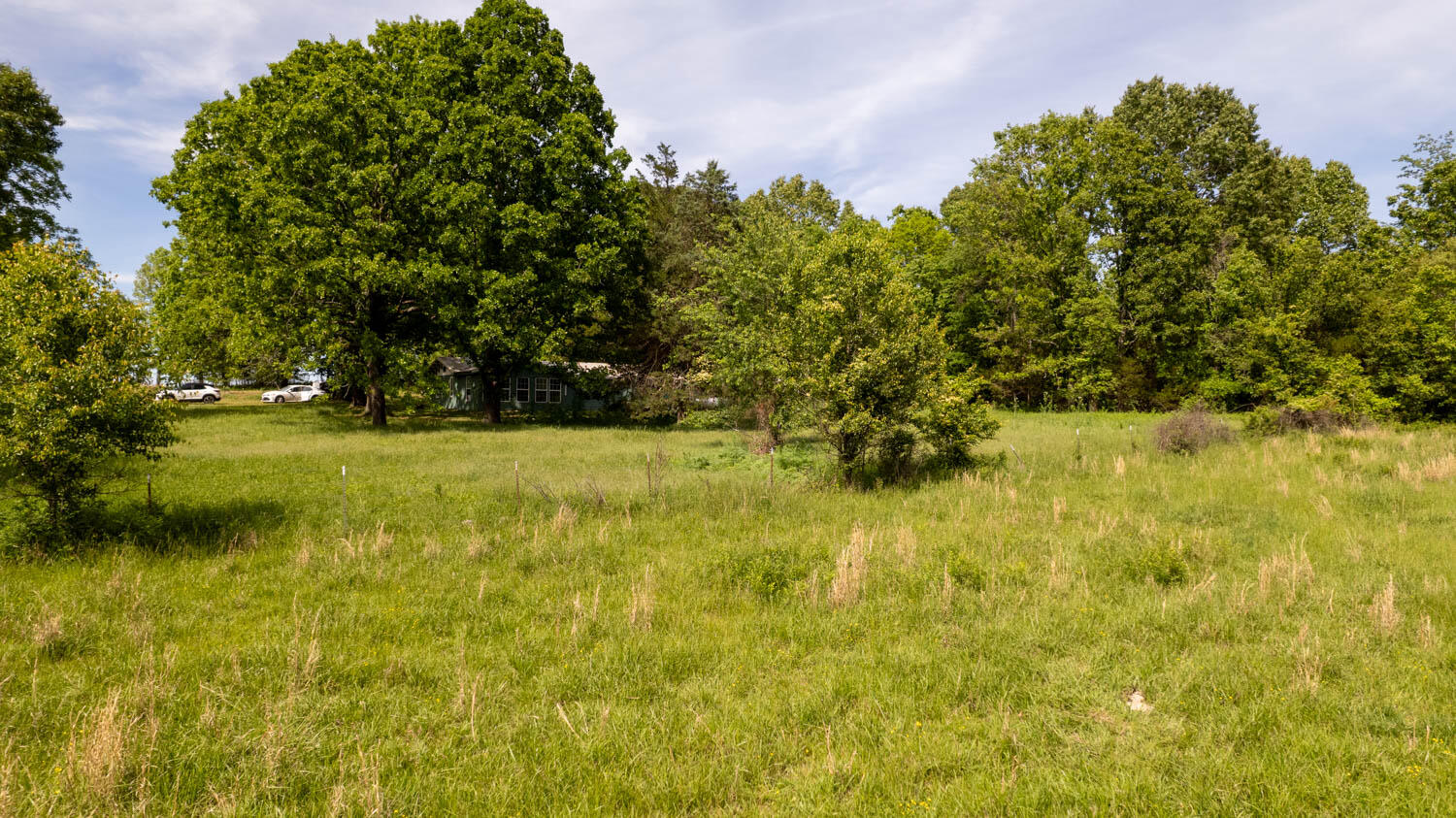 Photo 50 - Residential for sale – 1250  County Road 405   Alton, MO