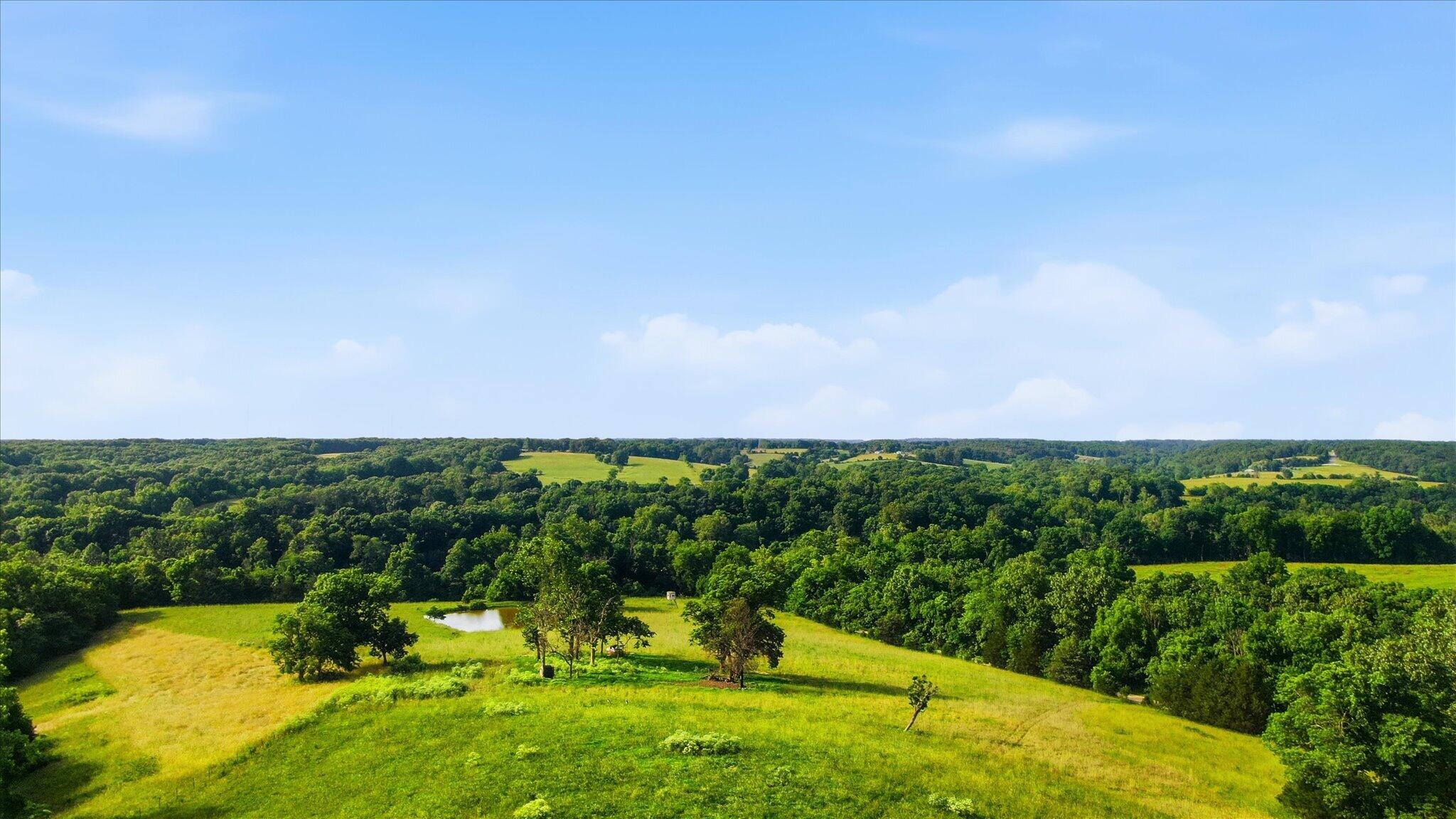 Photo 148 - Farm for sale – 1545  Sandhill Lane  Fordland, MO
