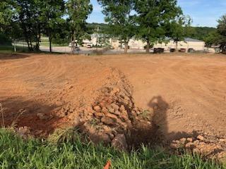 Photo 6 - Land for sale – 1960  Bluebird Road  Cabool, MO