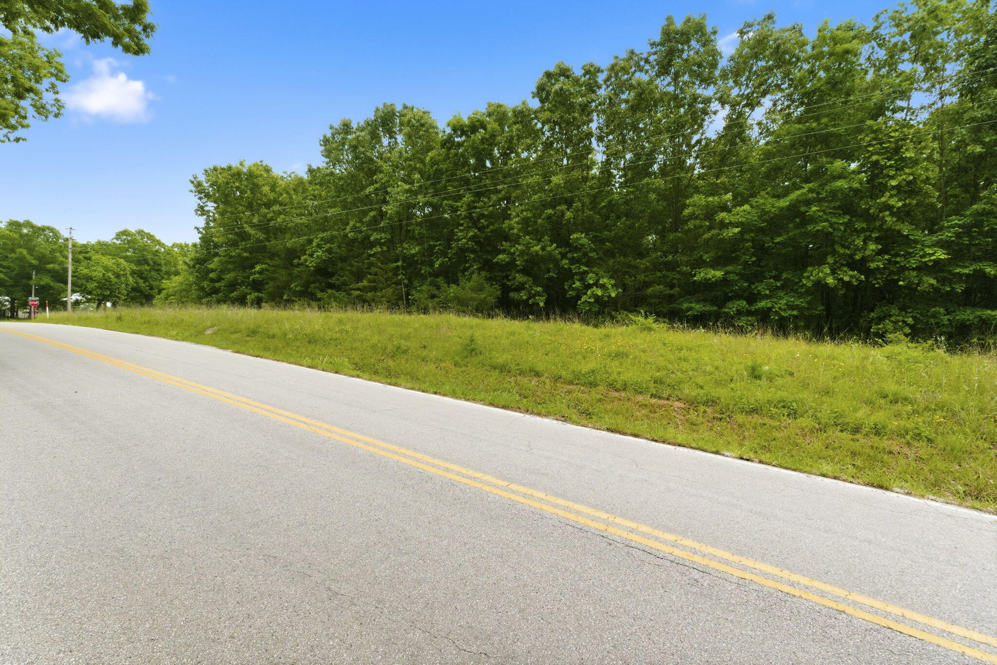 Photo 9 - Land for sale – Tbd N Farm Road 223   Strafford, MO