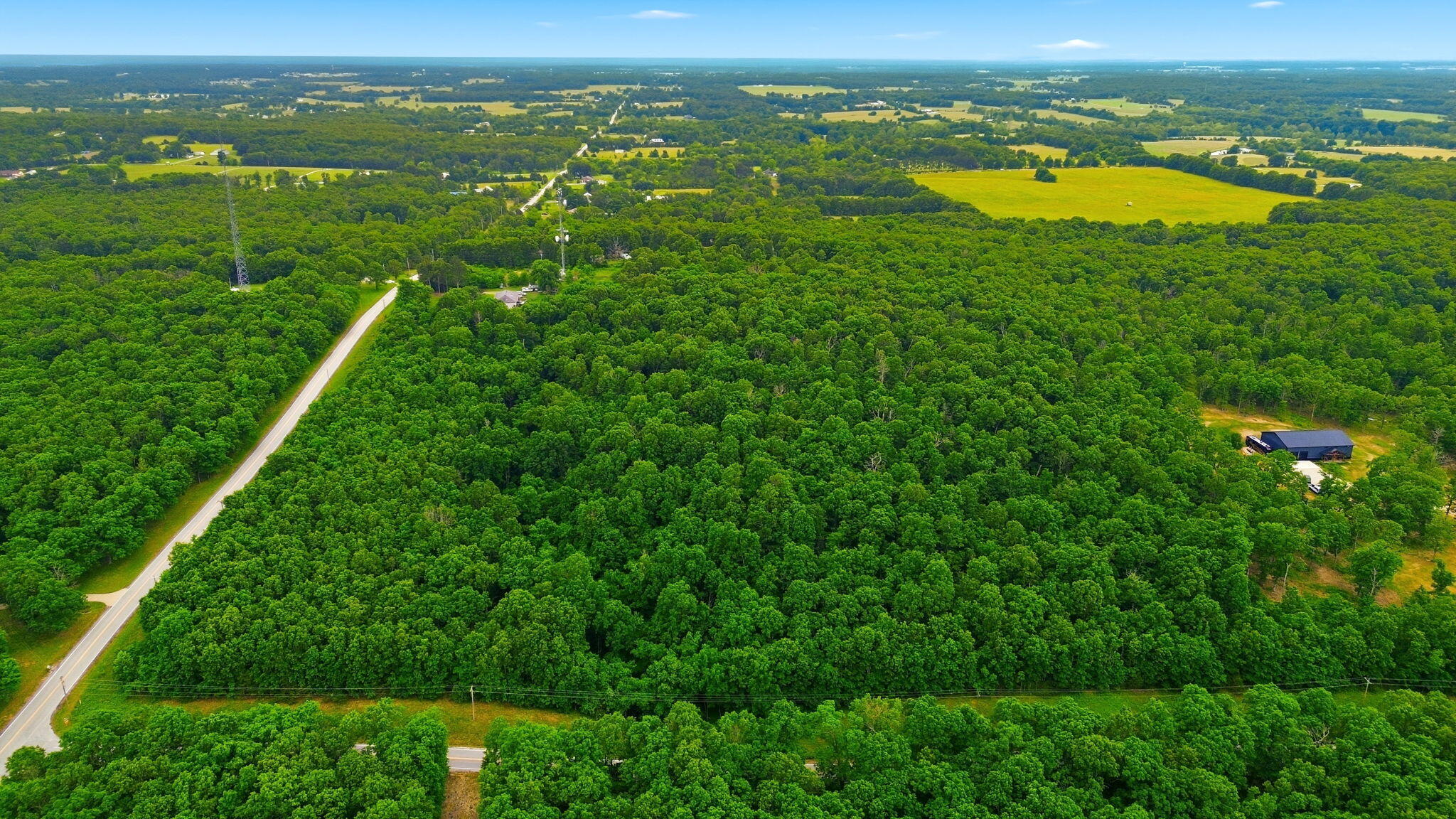 Photo 11 - Land for sale – Tbd N Farm Road 223   Strafford, MO