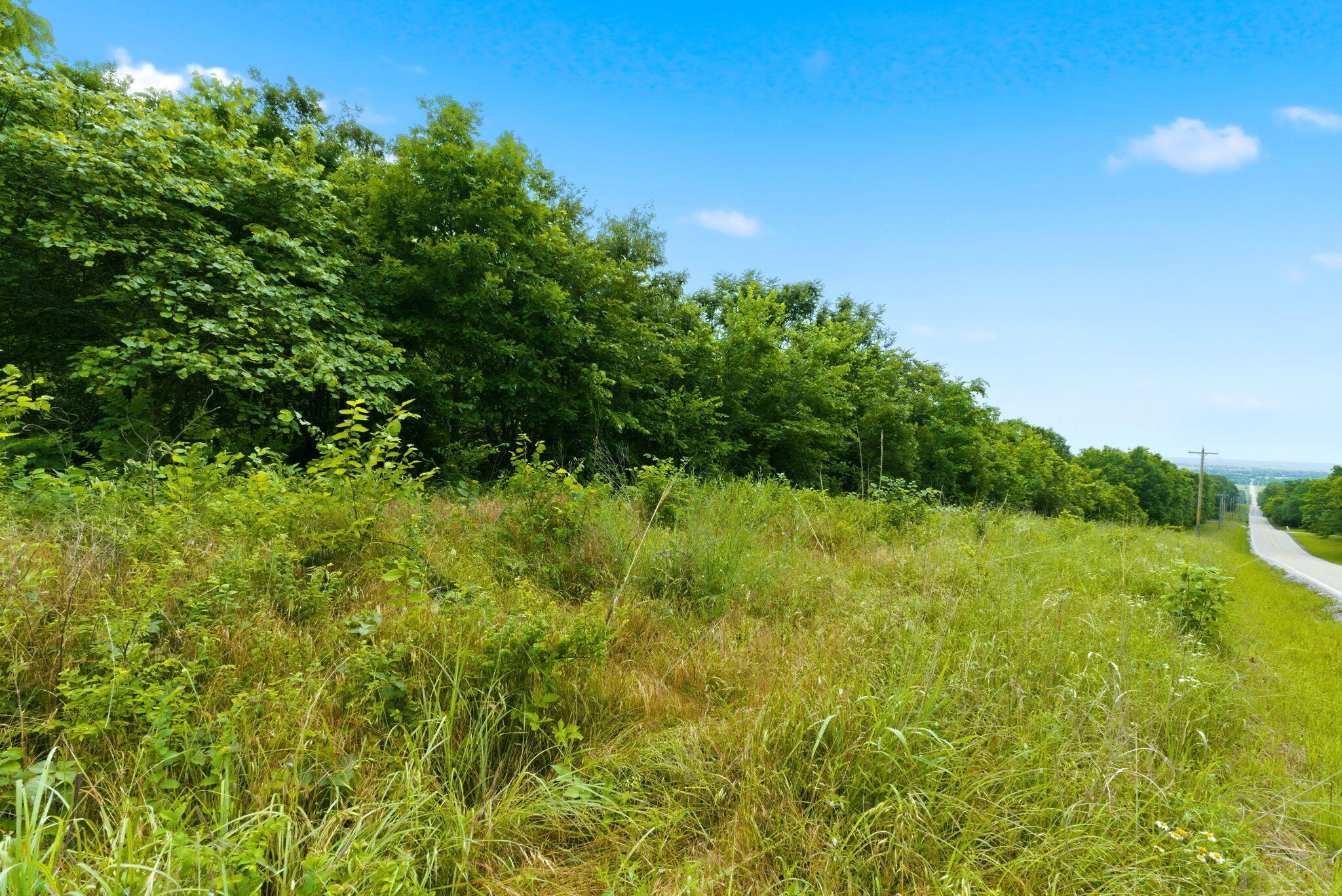 Photo 5 - Land for sale – Tbd N Farm Road 223   Strafford, MO