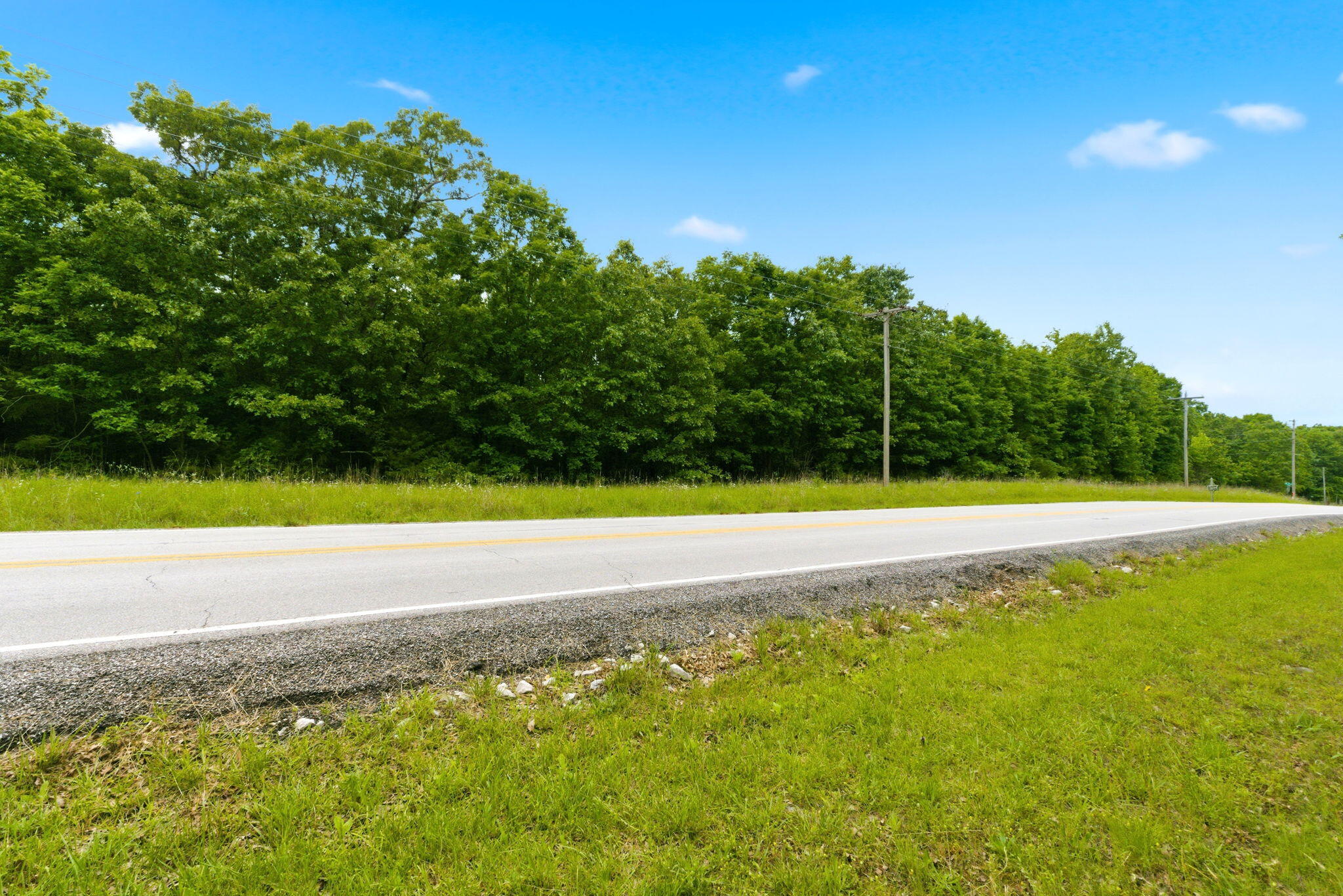 Photo 8 - Land for sale – Tbd N Farm Road 223   Strafford, MO