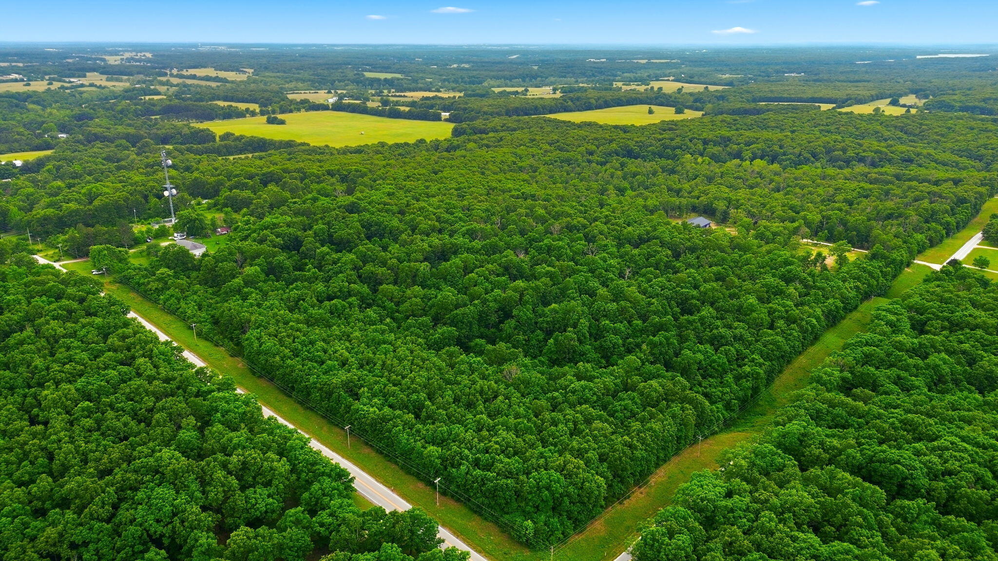 Photo 10 - Land for sale – Tbd N Farm Road 223   Strafford, MO