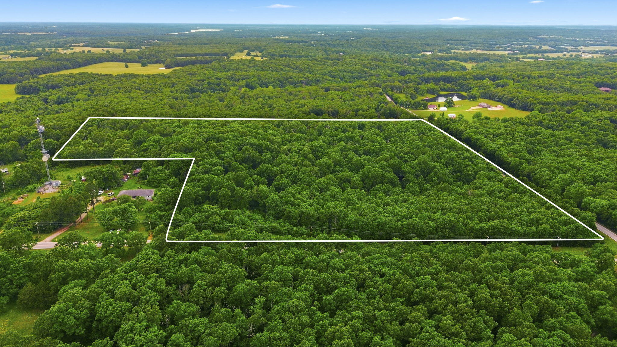 Photo 3 - Land for sale – Tbd N Farm Road 223   Strafford, MO