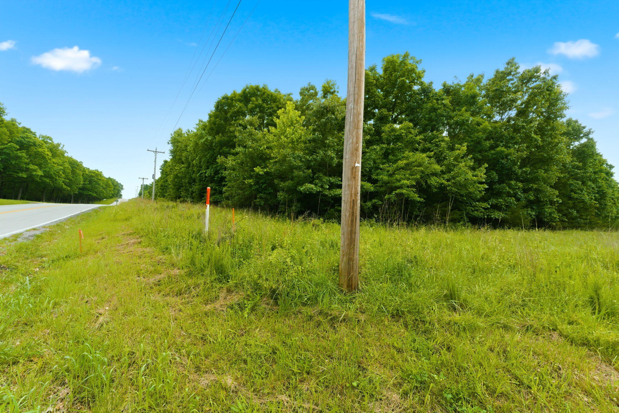 Photo 7 - Land for sale – Tbd N Farm Road 223   Strafford, MO