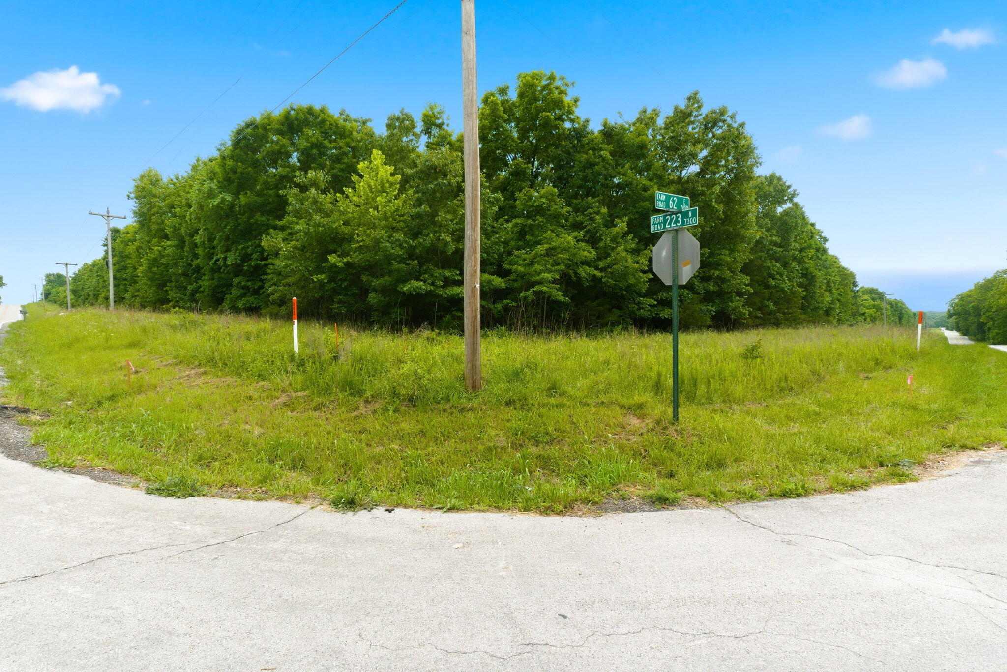 Photo 6 - Land for sale – Tbd N Farm Road 223   Strafford, MO
