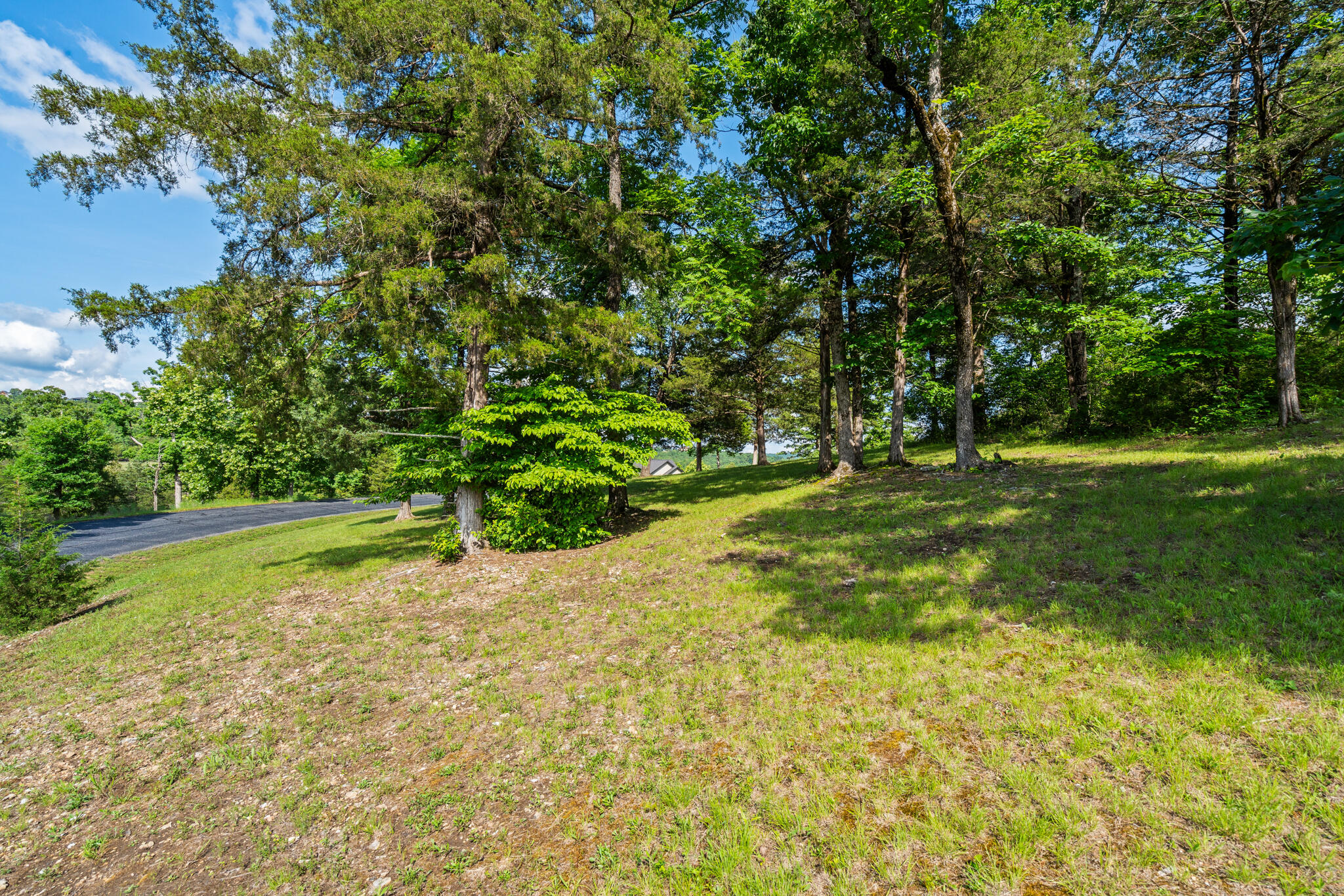 Photo 6 - Land for sale – Tbd  Cedar Bluff  Lot 91a   Saddlebrooke, MO