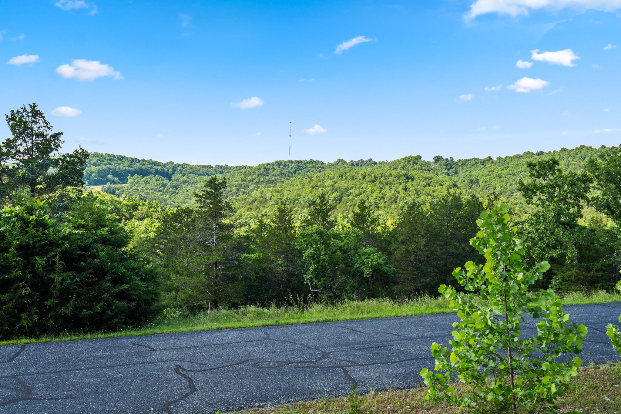 Photo 4 - Land for sale – Tbd  Cedar Bluff  Lot 91a   Saddlebrooke, MO