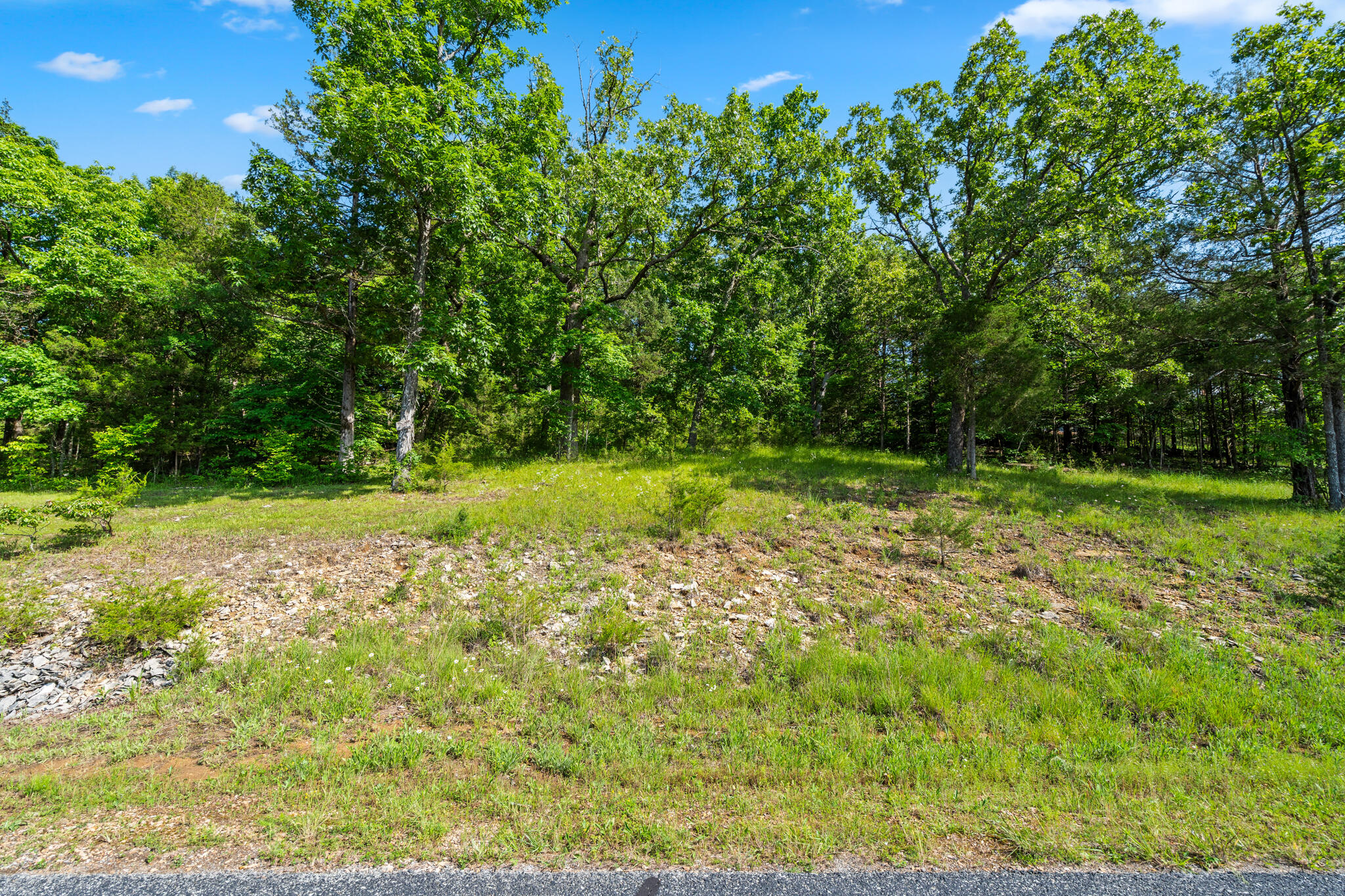 Photo 2 - Land for sale – Tbd  Cedar Bluff  Lot 91a   Saddlebrooke, MO