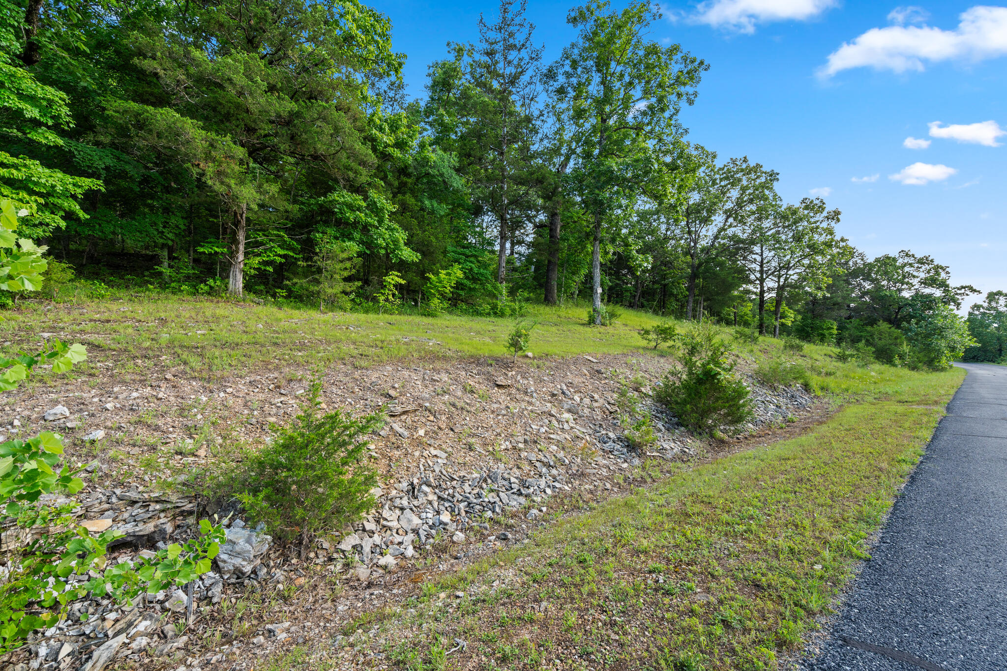 Photo 3 - Land for sale – Tbd  Cedar Bluff  Lot 91a   Saddlebrooke, MO