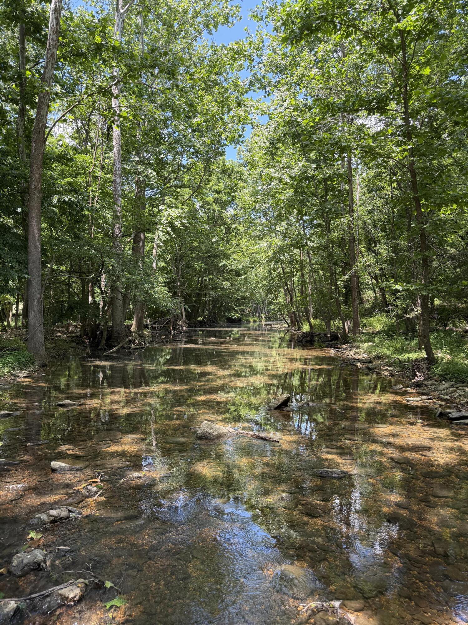Photo 36 - Farm for sale – 000  Pleasant Hill Road  Mountain Grove, MO