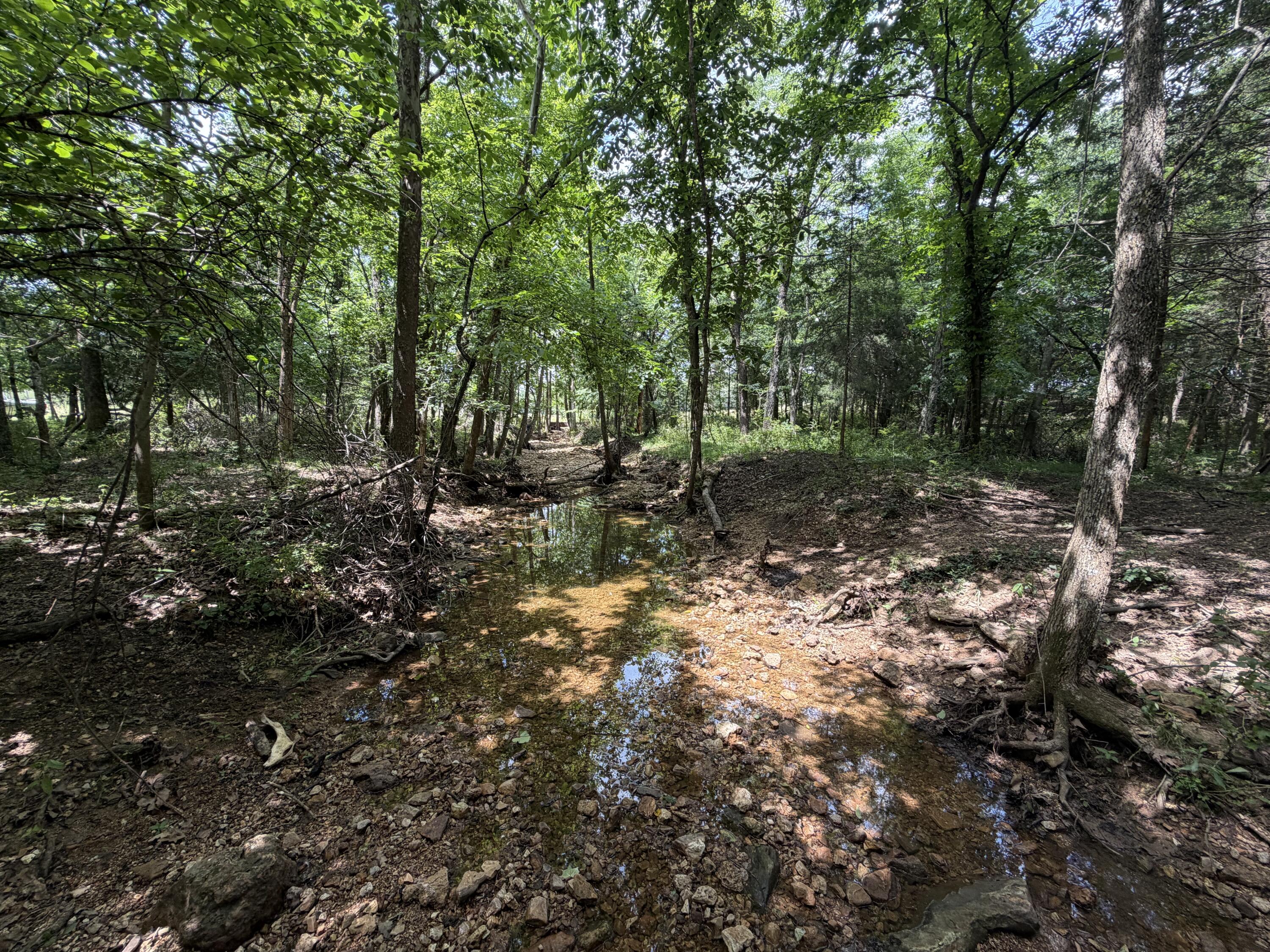 Photo 33 - Farm for sale – 000  Pleasant Hill Road  Mountain Grove, MO