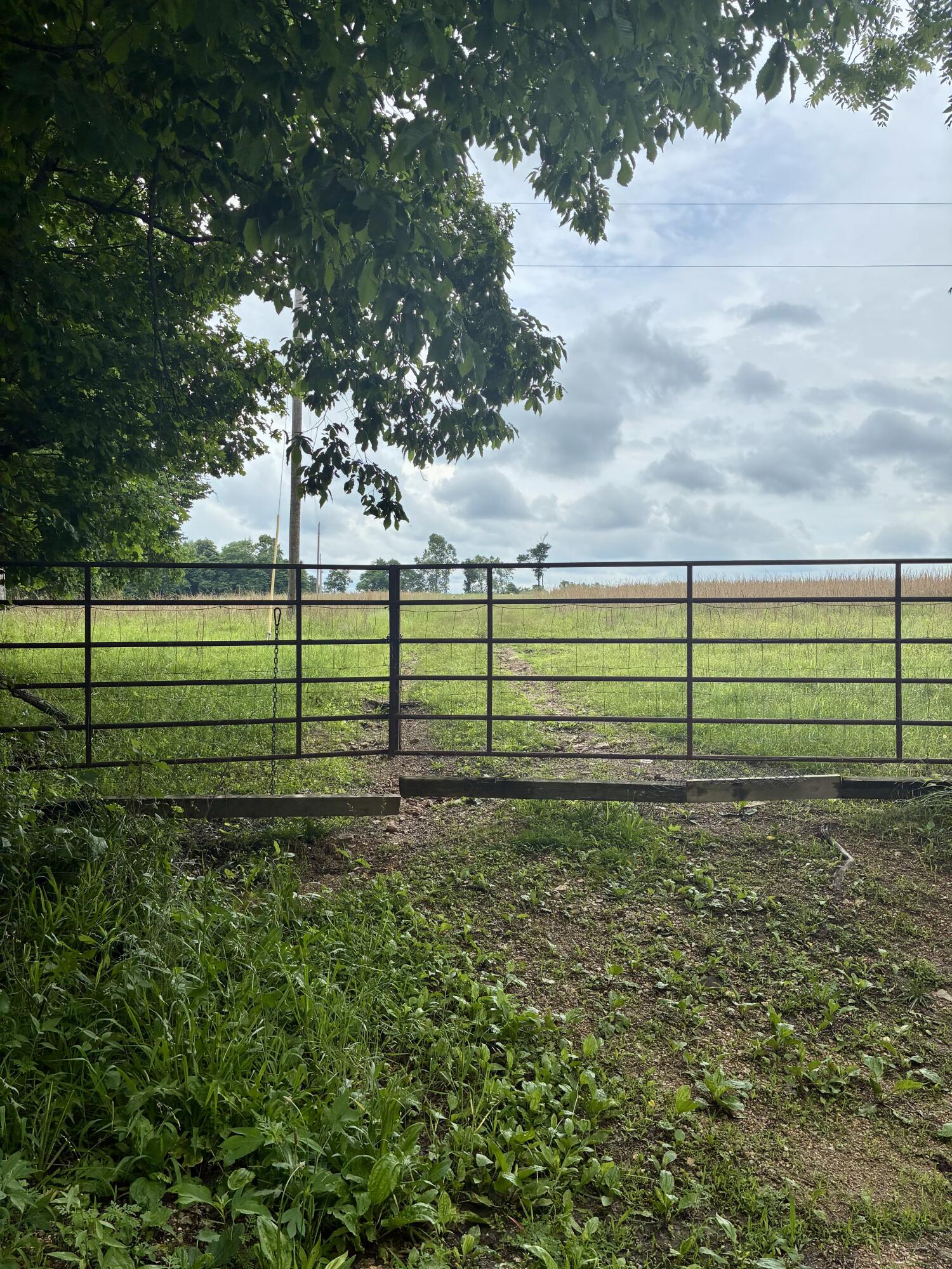 Photo 31 - Farm for sale – 000  Pleasant Hill Road  Mountain Grove, MO