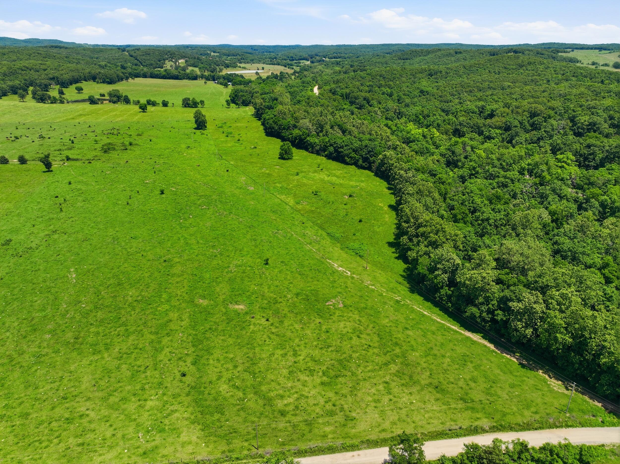 Photo 30 - Farm for sale – 000  Pleasant Hill Road  Mountain Grove, MO