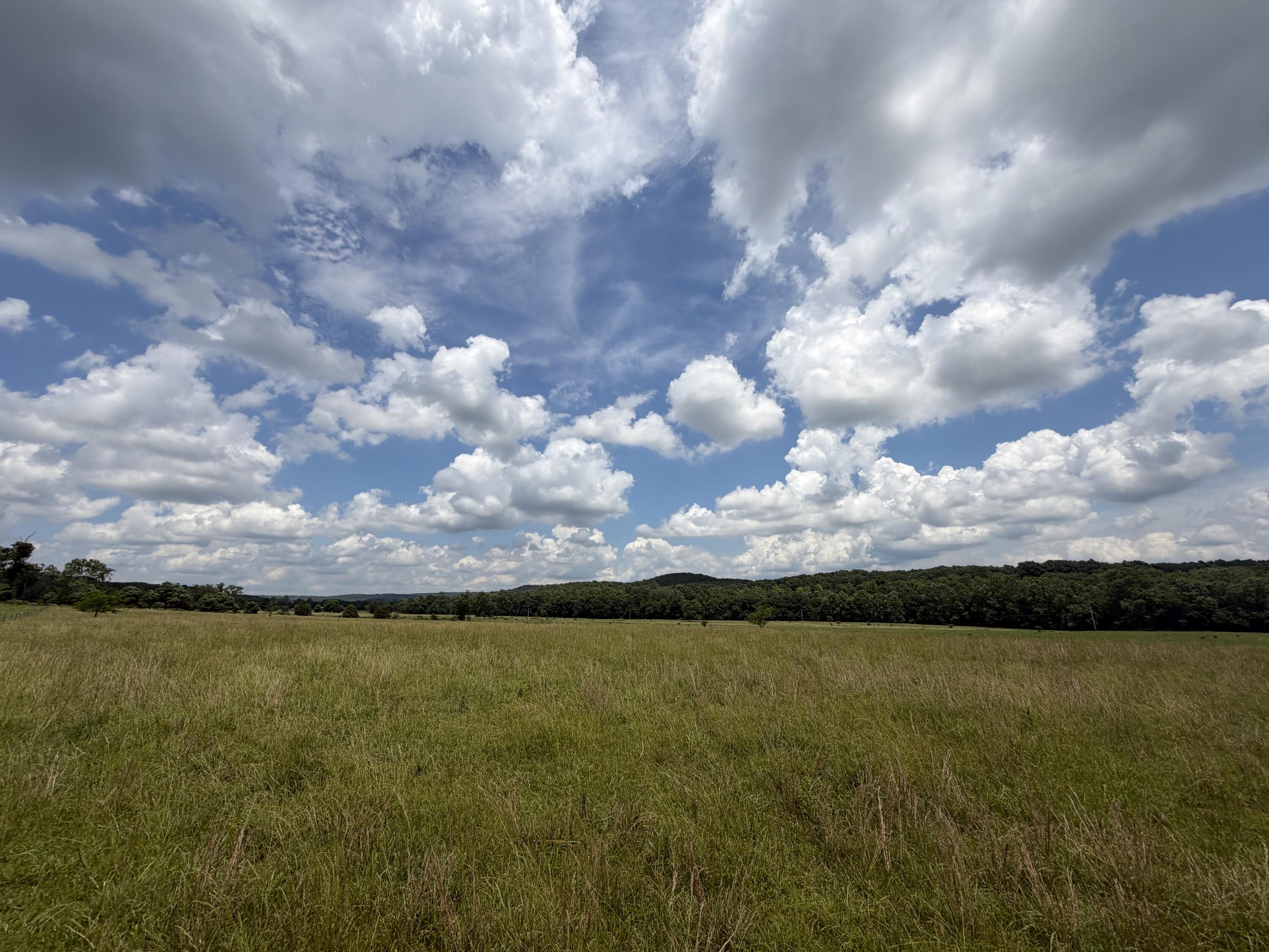 Photo 34 - Farm for sale – 000  Pleasant Hill Road  Mountain Grove, MO
