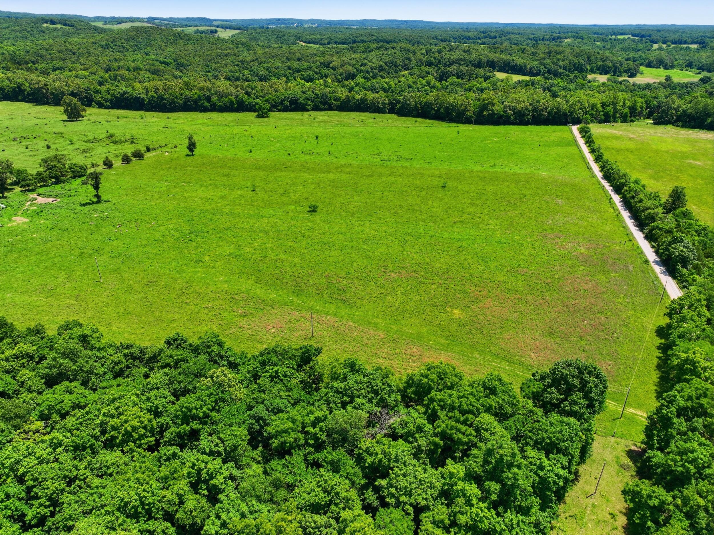 Photo 7 - Farm for sale – 000  Pleasant Hill Road  Mountain Grove, MO