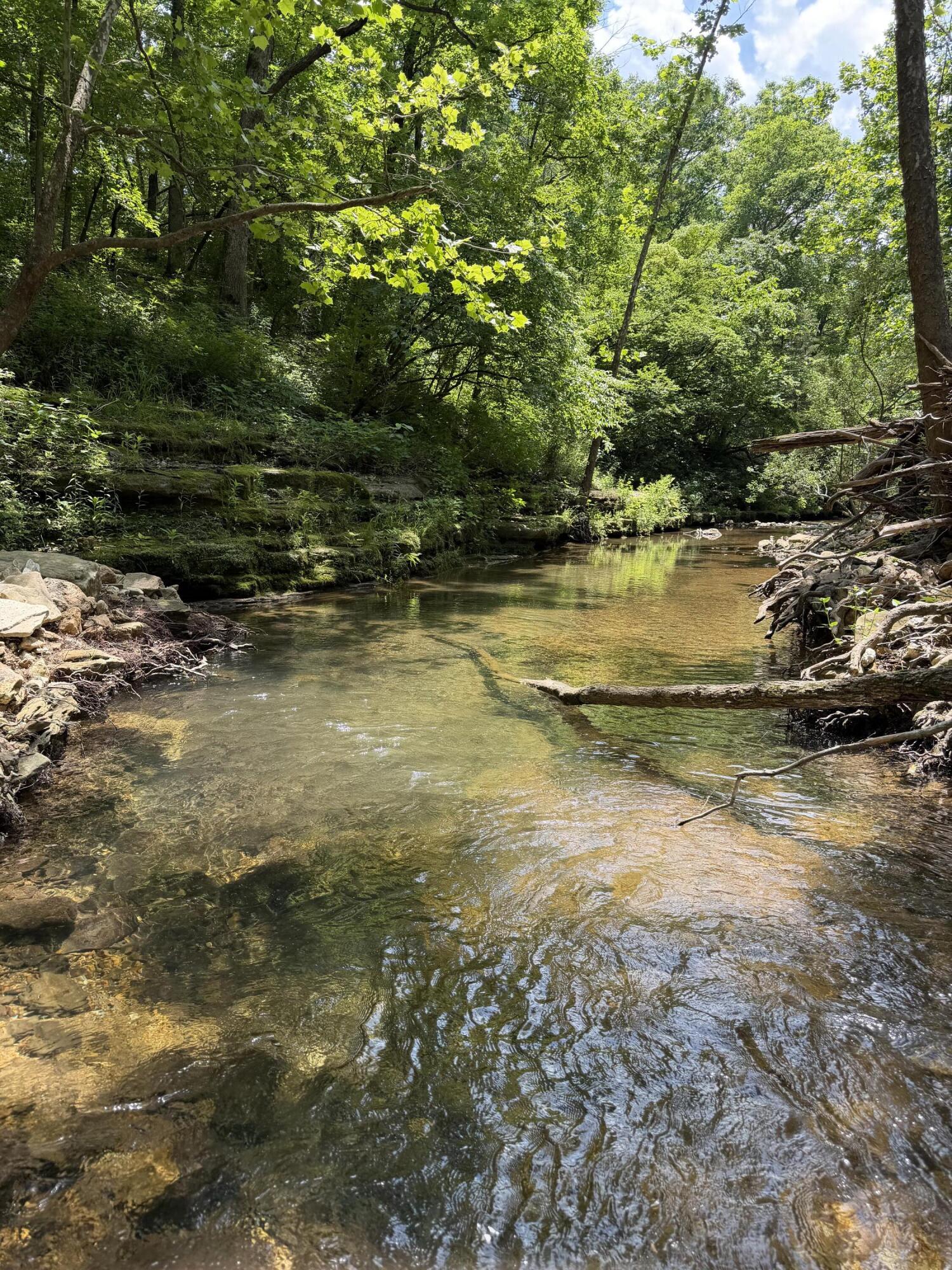 Photo 3 - Farm for sale – 000  Pleasant Hill Road  Mountain Grove, MO