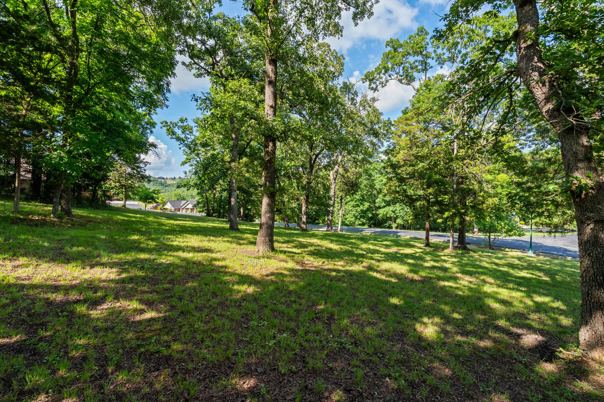 Photo 5 - Land for sale – Tbd  Cedar Bluff  Lot 94   Saddlebrooke, MO