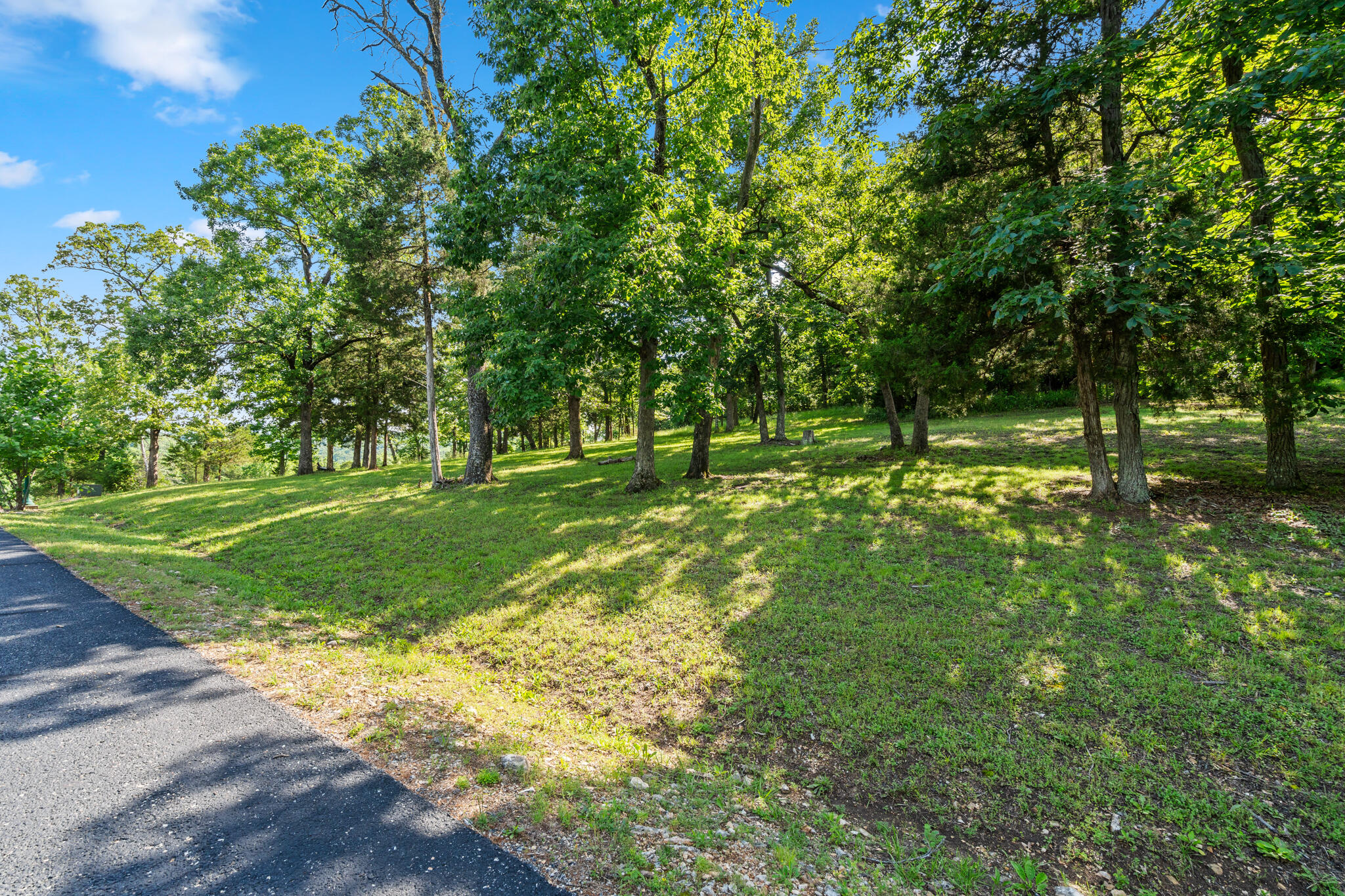 Photo 3 - Land for sale – Tbd  Cedar Bluff  Lot 94   Saddlebrooke, MO
