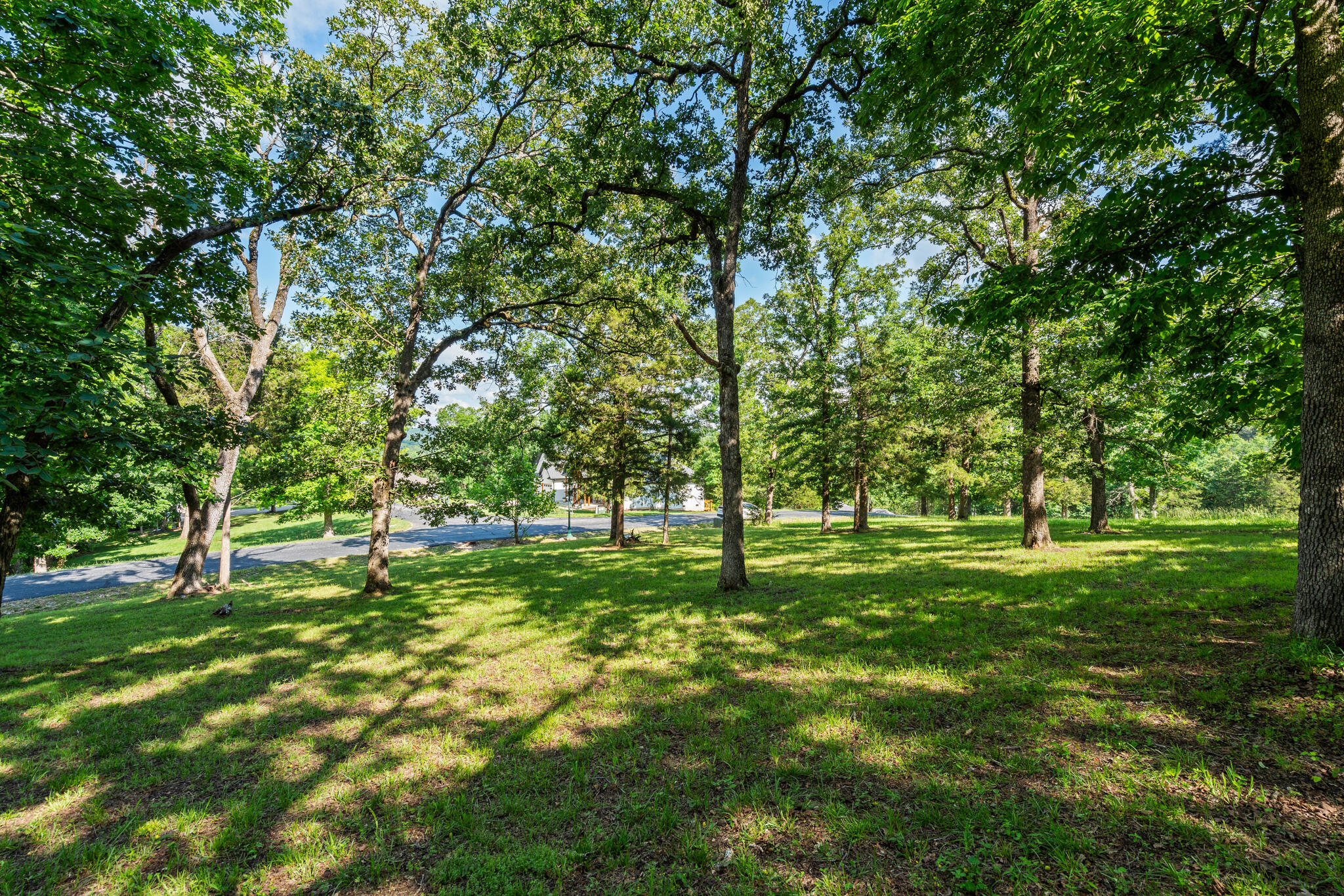 Photo 4 - Land for sale – Tbd  Cedar Bluff  Lot 94   Saddlebrooke, MO
