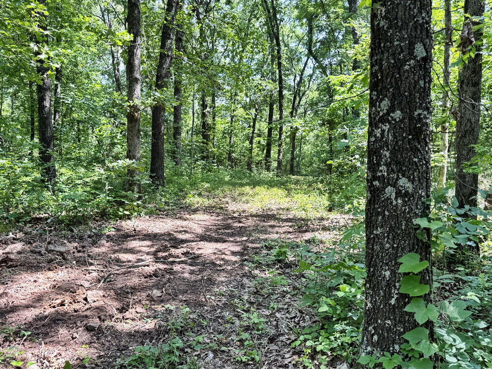 Photo 17 - Land for sale – Tbd1 E 1550 Road  Jerico Springs, MO
