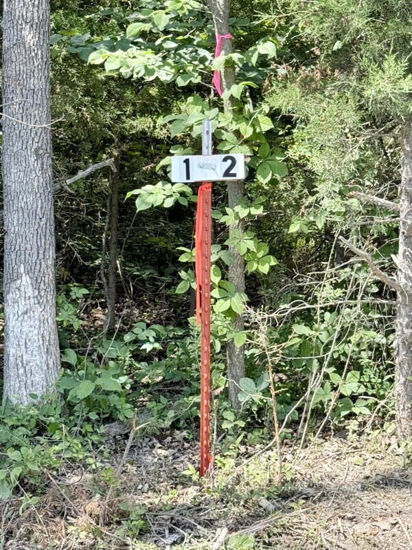 Photo 22 - Land for sale – Tbd1 E 1550 Road  Jerico Springs, MO