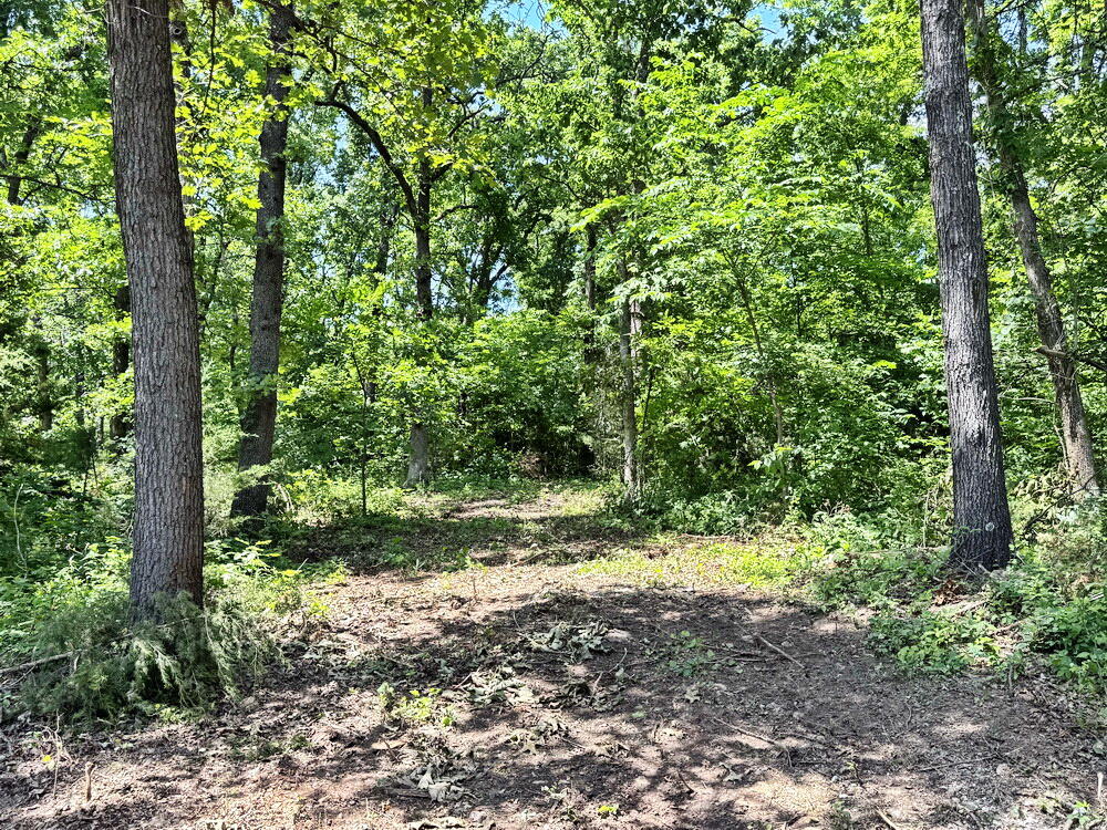 Photo 4 - Land for sale – Tbd1 E 1550 Road  Jerico Springs, MO