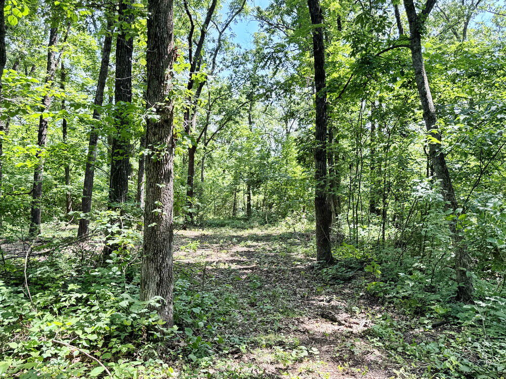 Photo 18 - Land for sale – Tbd1 E 1550 Road  Jerico Springs, MO