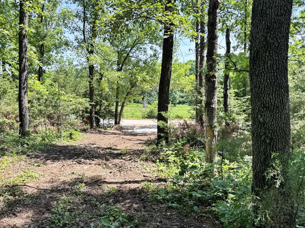 Photo 20 - Land for sale – Tbd1 E 1550 Road  Jerico Springs, MO