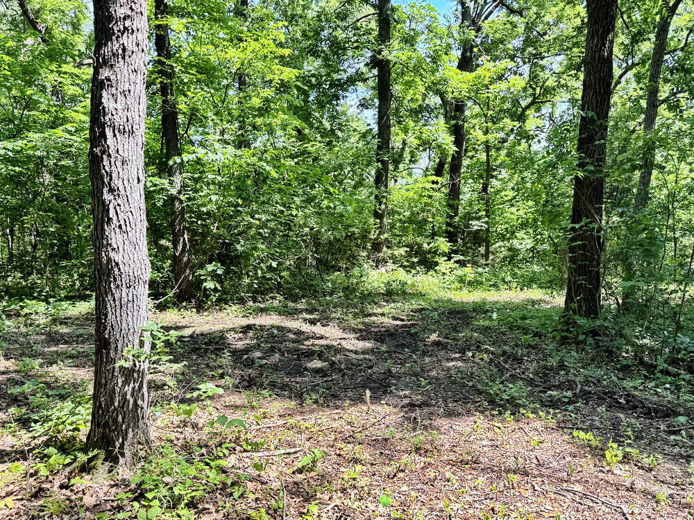 Photo 19 - Land for sale – Tbd1 E 1550 Road  Jerico Springs, MO