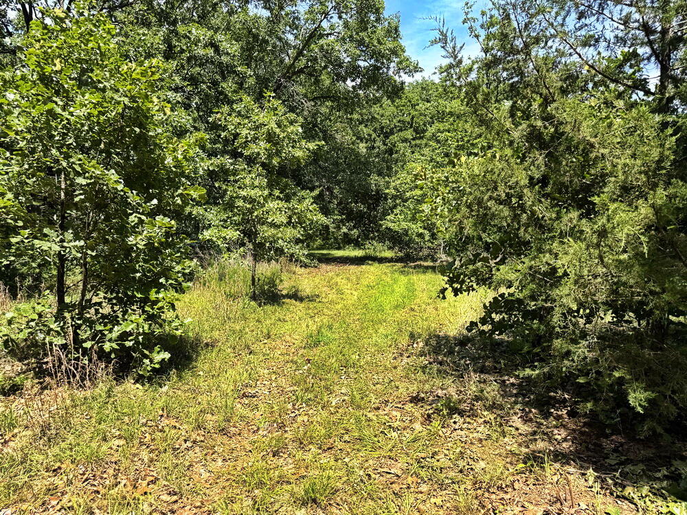 Photo 29 - Land for sale – Tbd3 E 1550 Road  Jerico Springs, MO