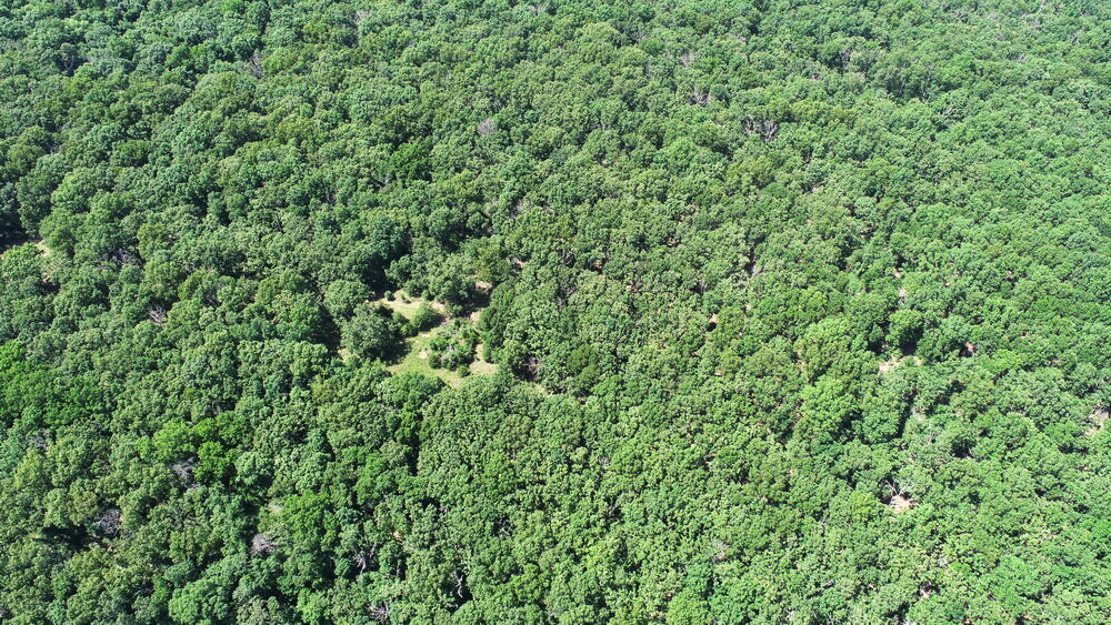 Photo 40 - Land for sale – Tbd3 E 1550 Road  Jerico Springs, MO